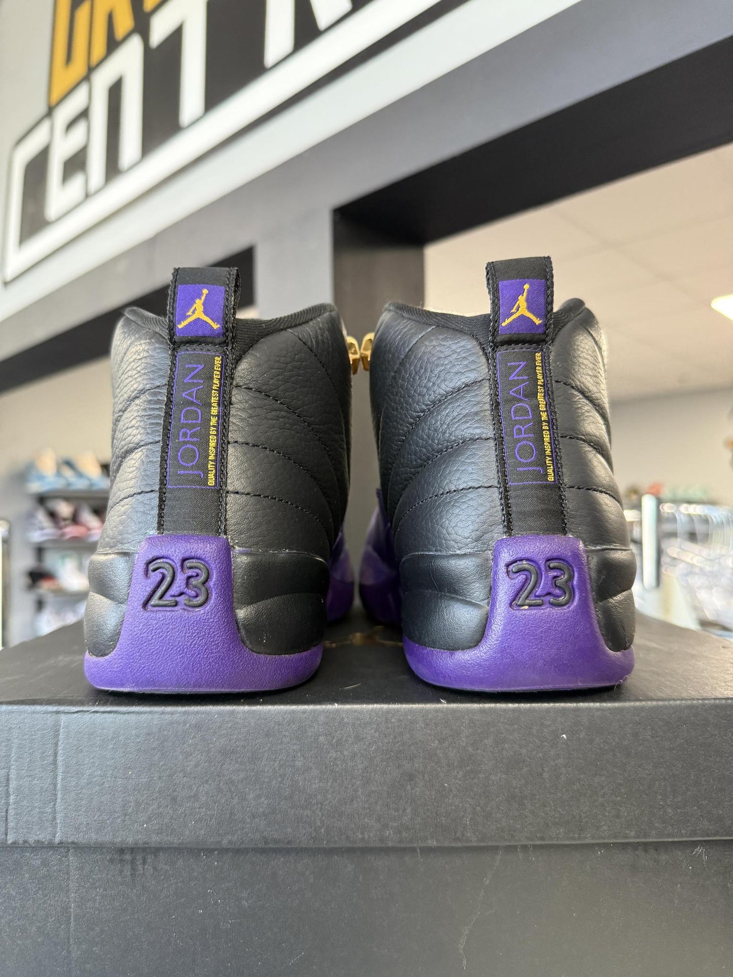 Jordan 12 "Field Purple" Used Size 7Y/8.5W