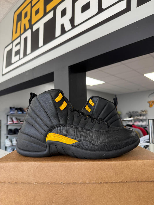 Jordan 12 "Taxi Flip" Used Size 9.5