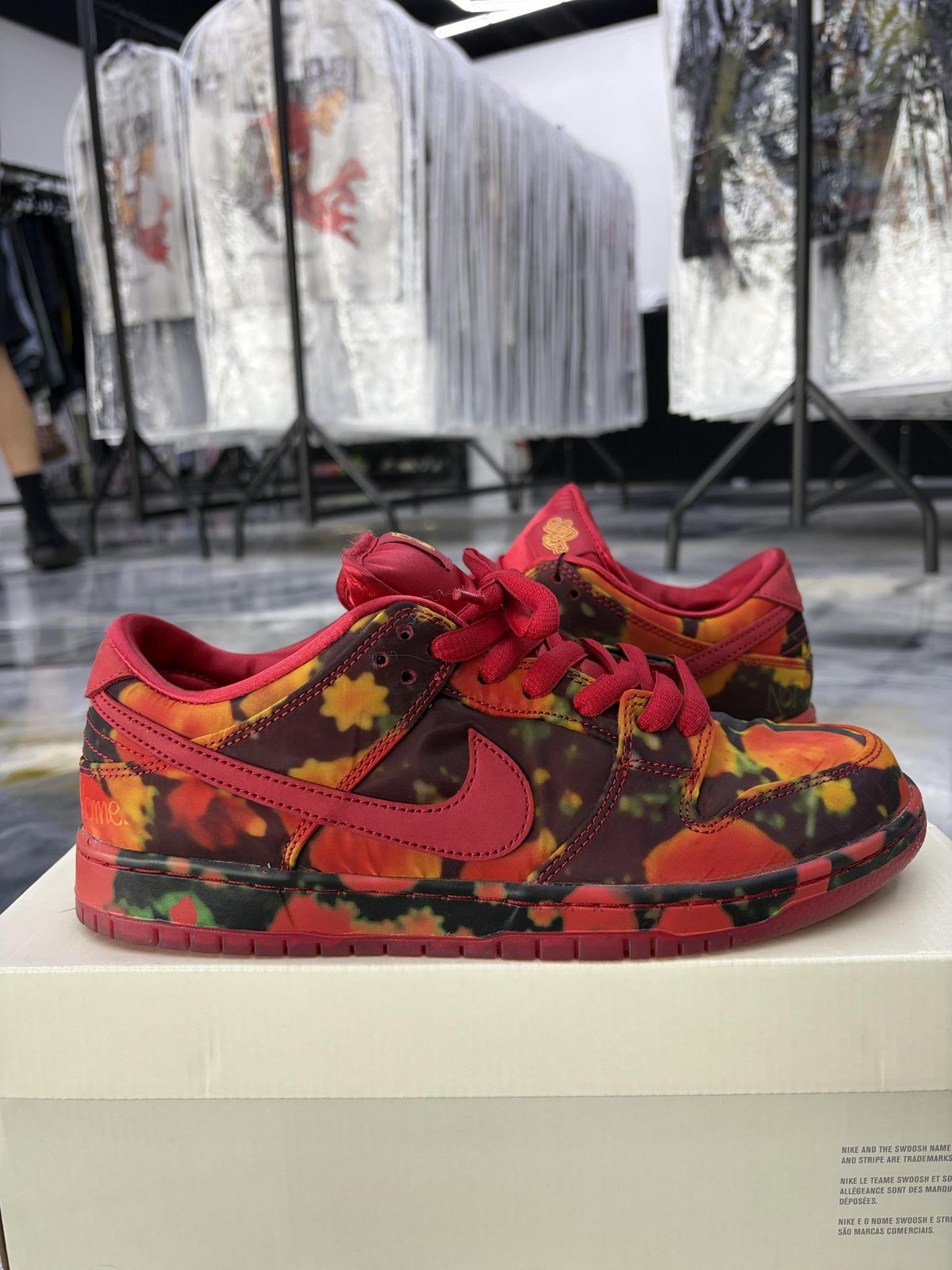 Nike SB Dunk Low "Wizard Of Oz" Used Size 9