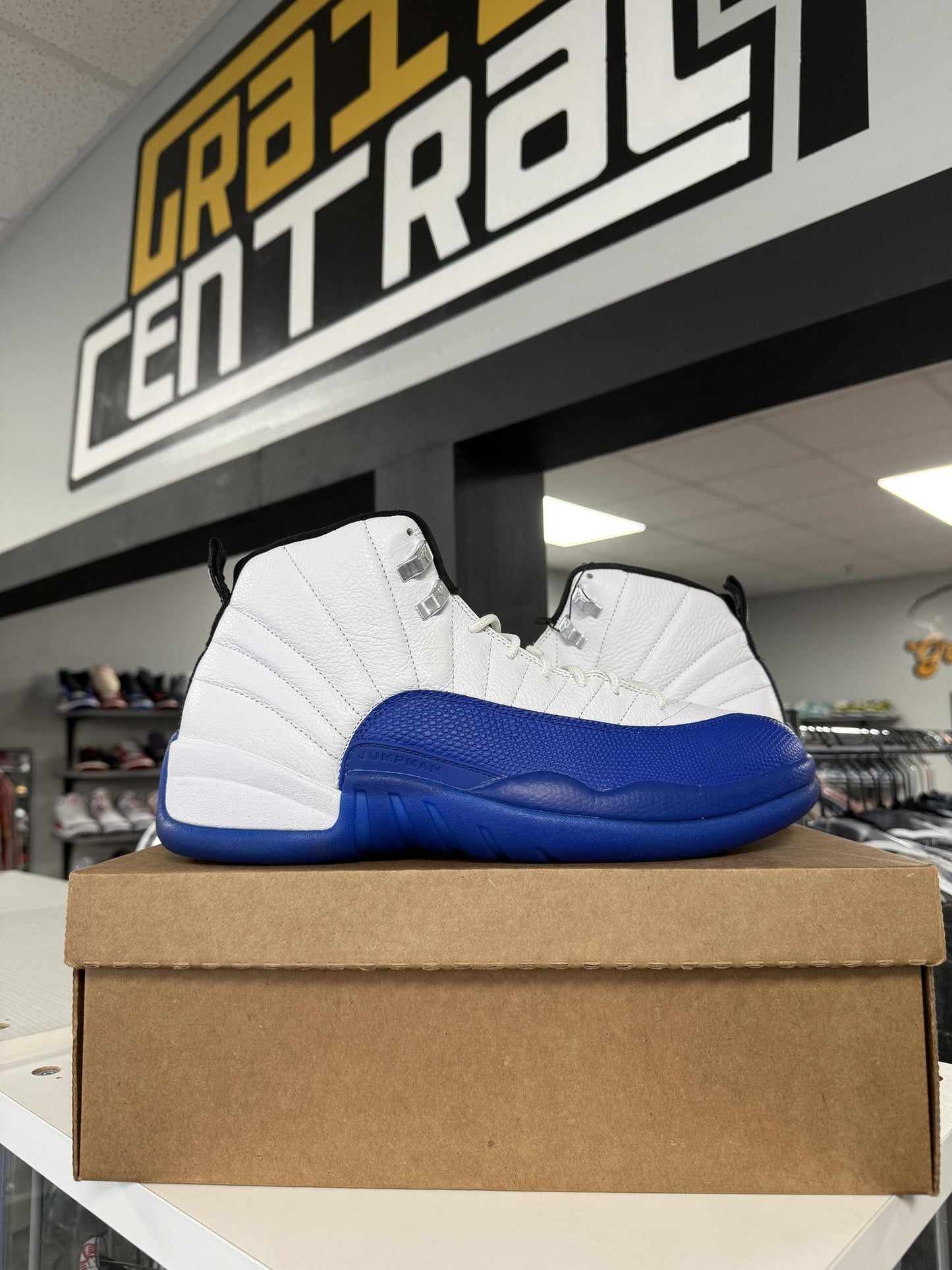 Jordan 12 "Blueberry" Used Size 11.5