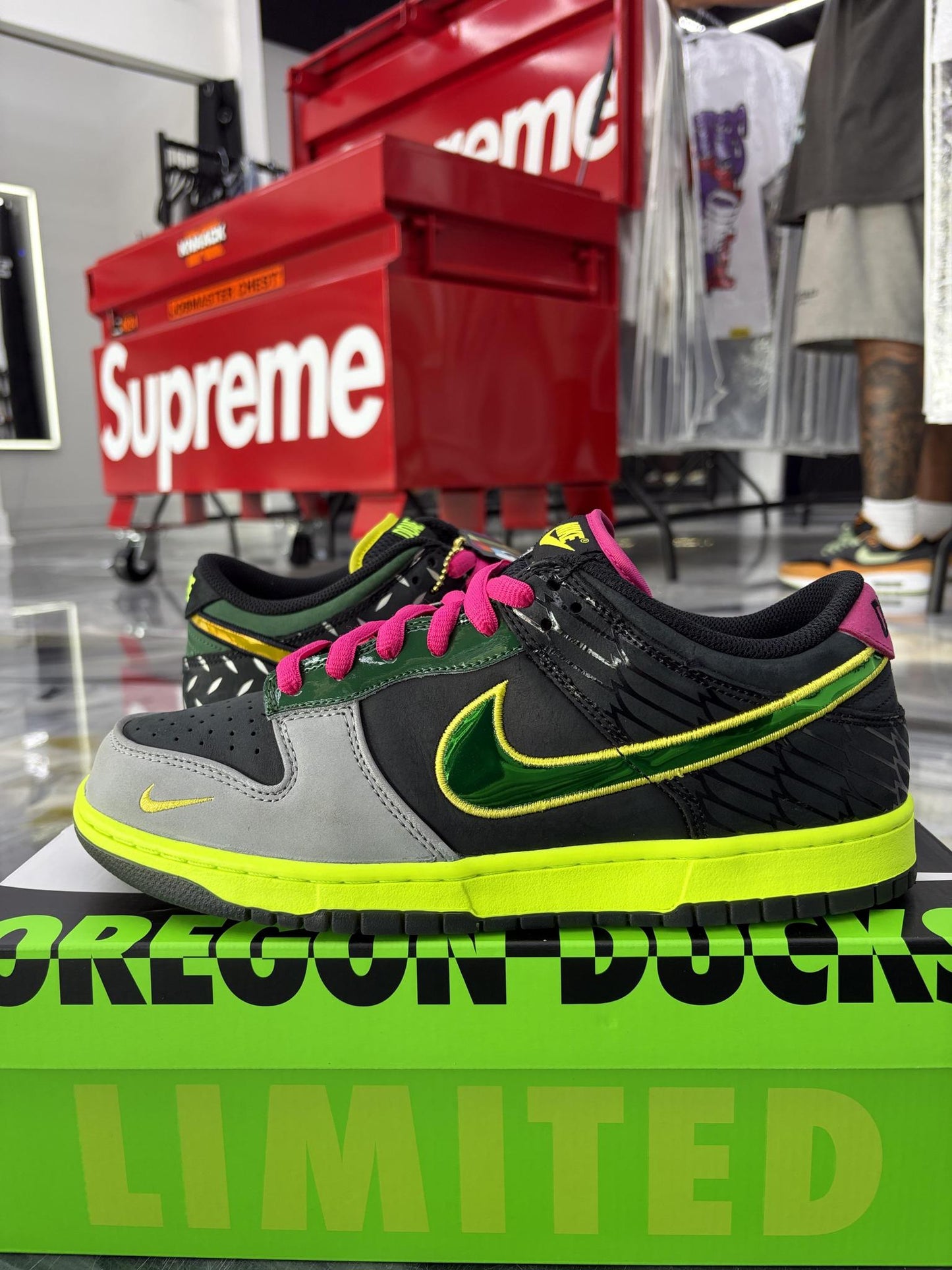 Nike Dunk Low "What The Duck" Used Size 10.5