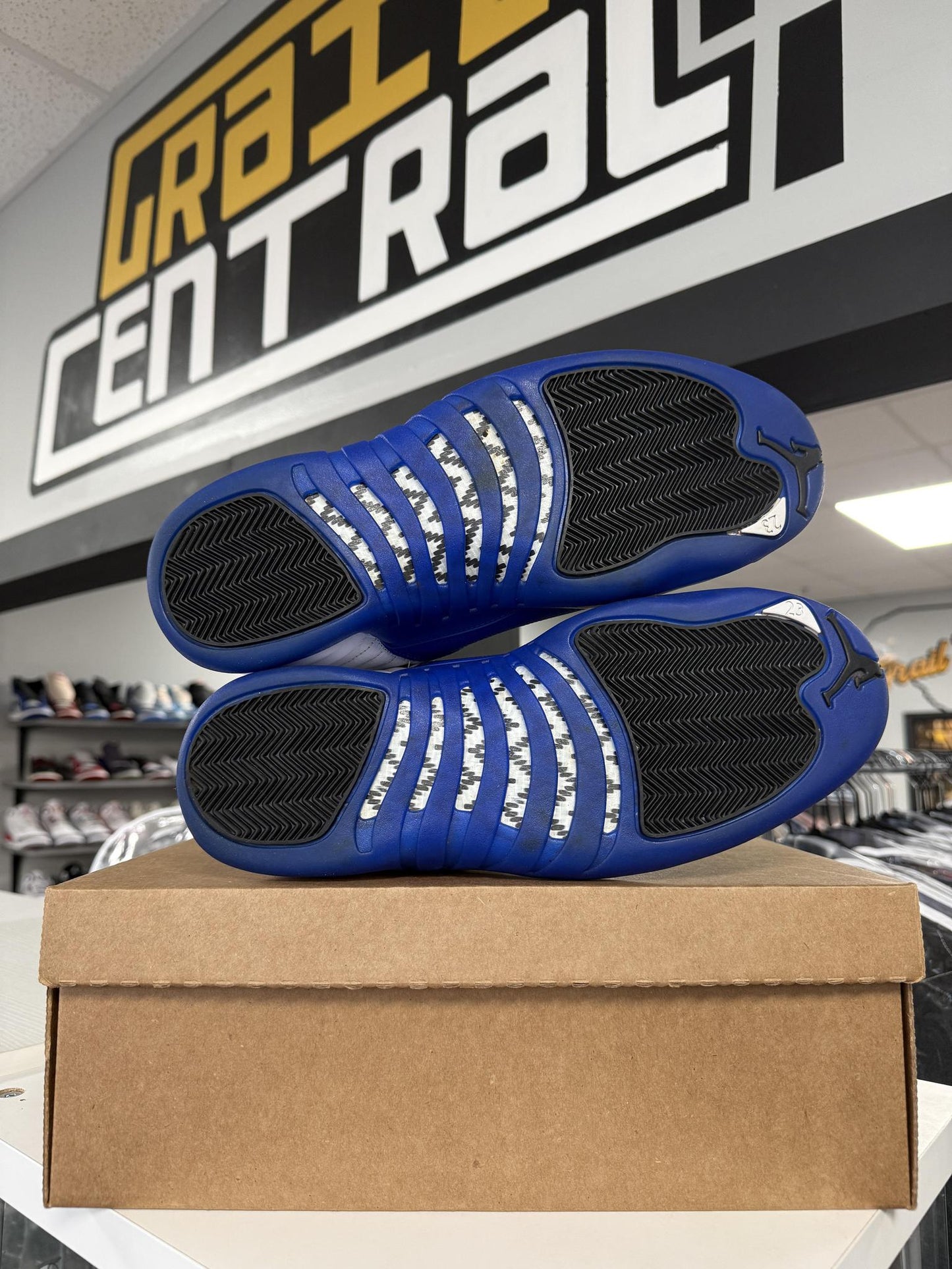 Jordan 12 "Blueberry" Used Size 11.5