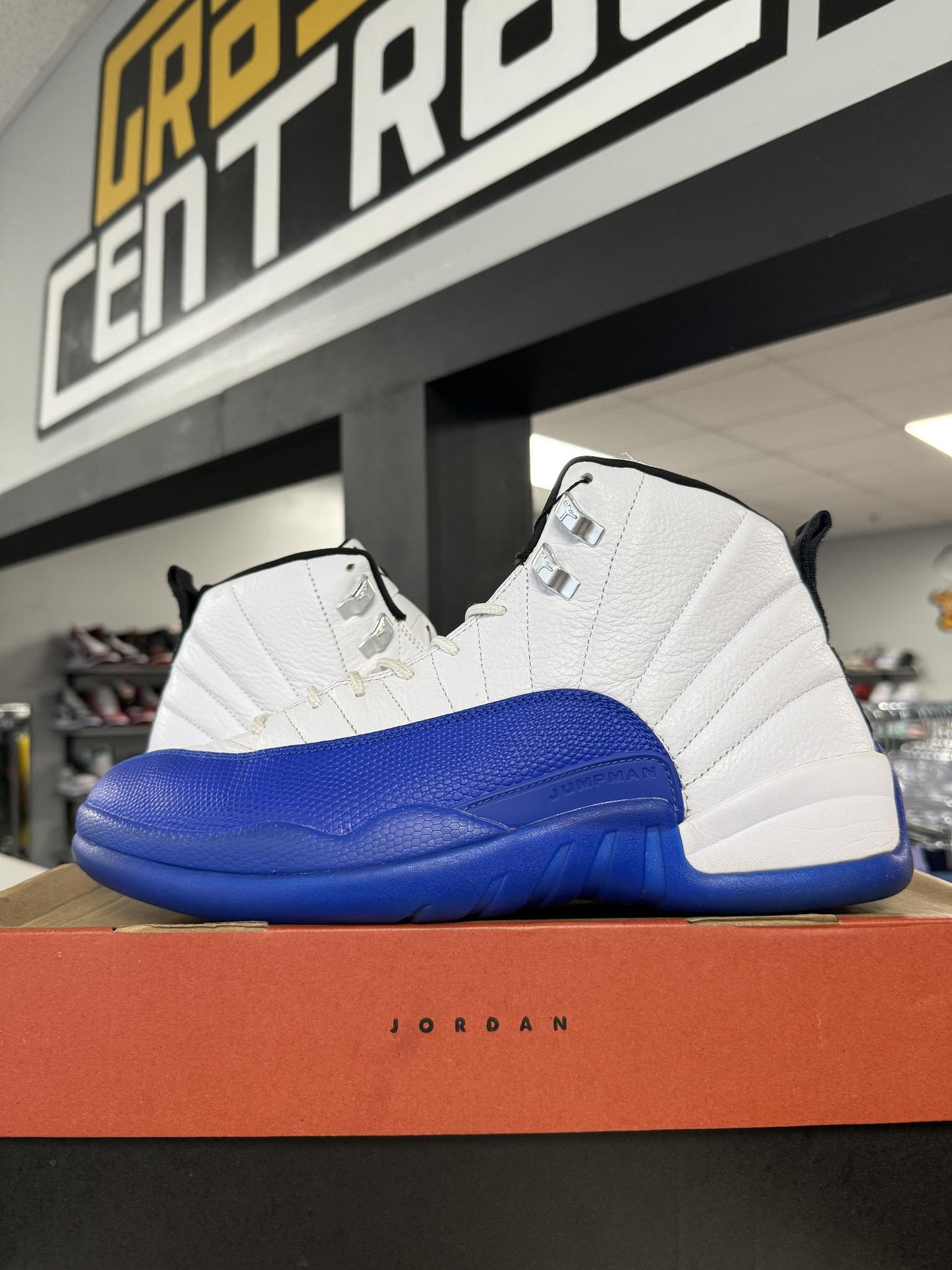 Jordan 12 "Blueberry" Used Size 11.5