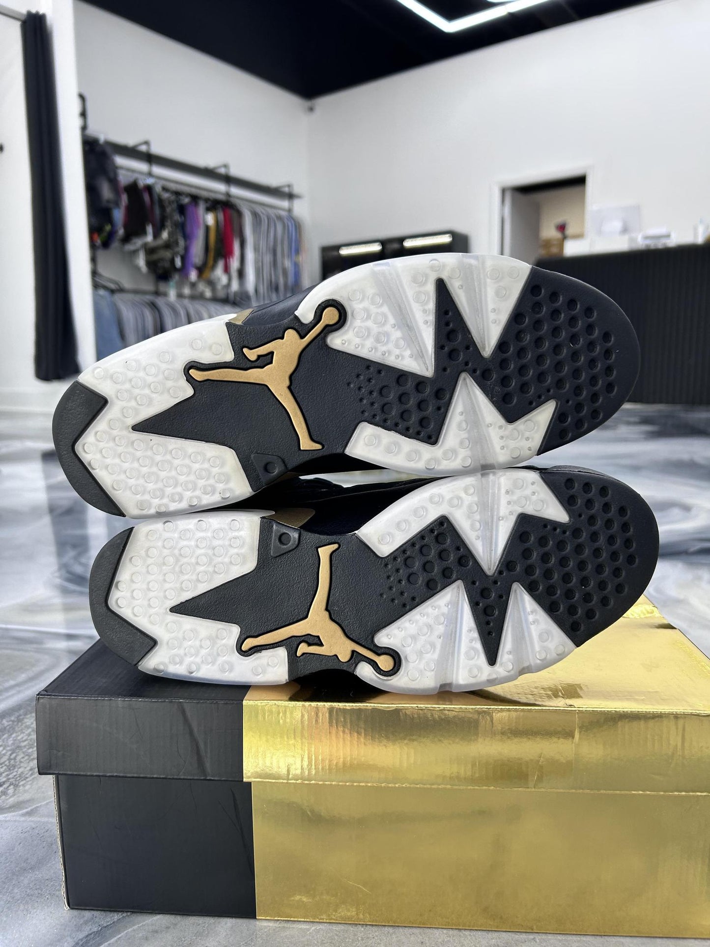 Jordan 6 "DMP" Used Size 10