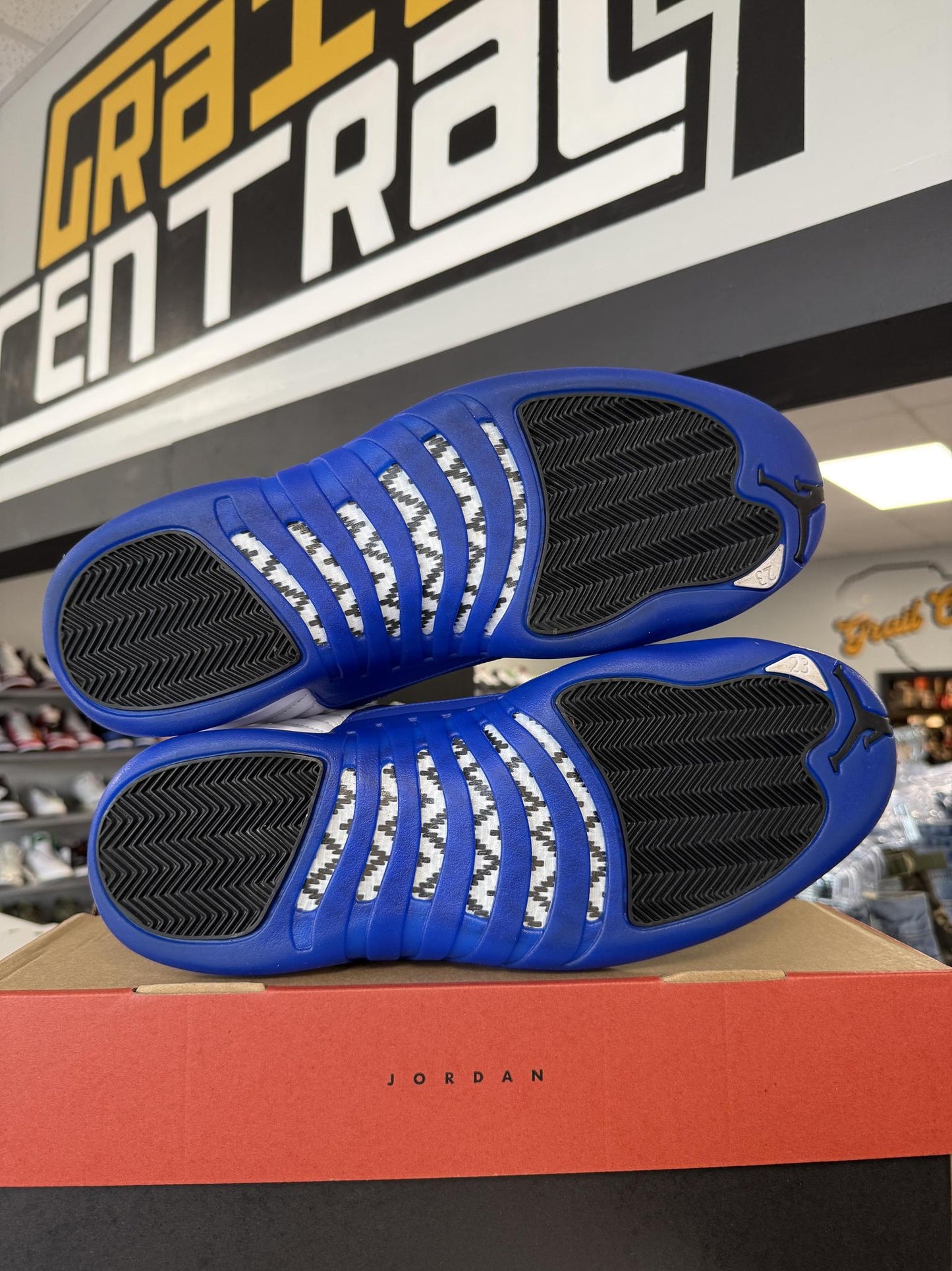 Jordan 12 "Blueberry" Used Size 14