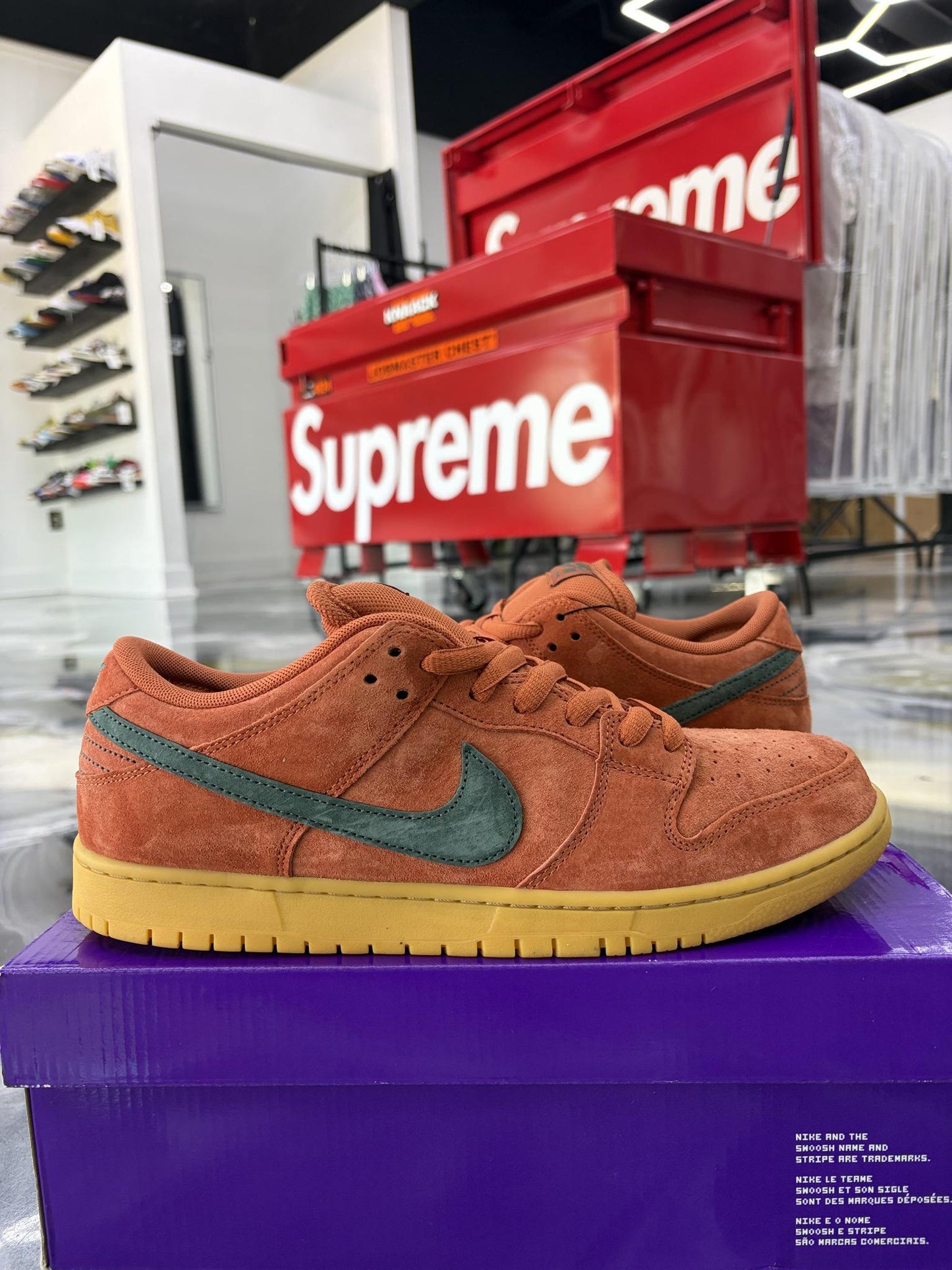 Nike SB Dunk Low "Burnt Sunrise" Used Size 11.5