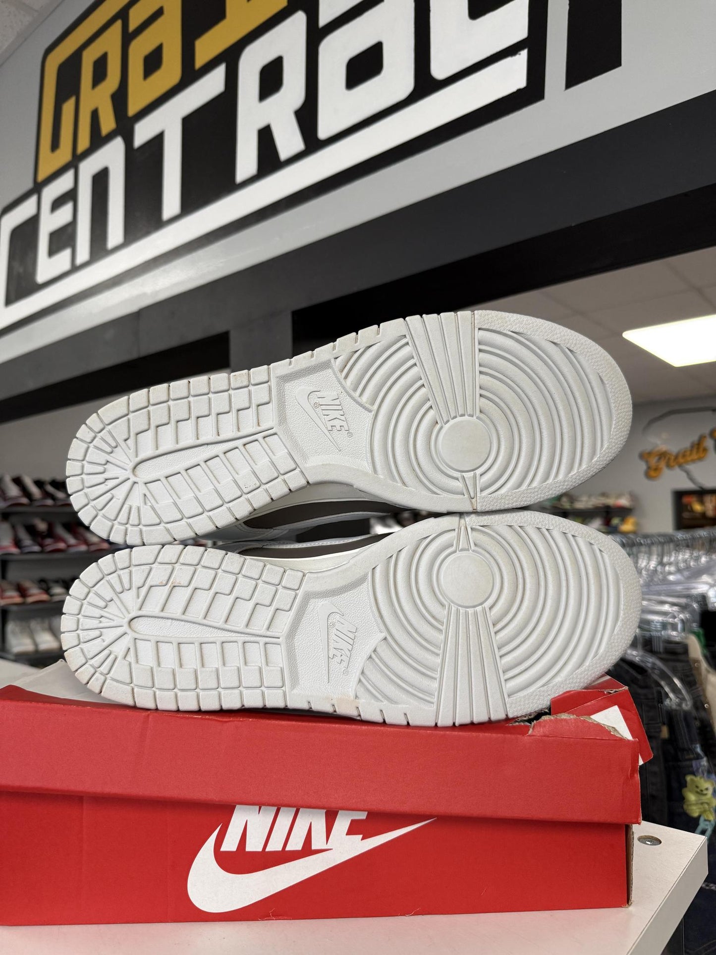 Dunk Low "Cave Stone Pure Platinum" Used Size 15
