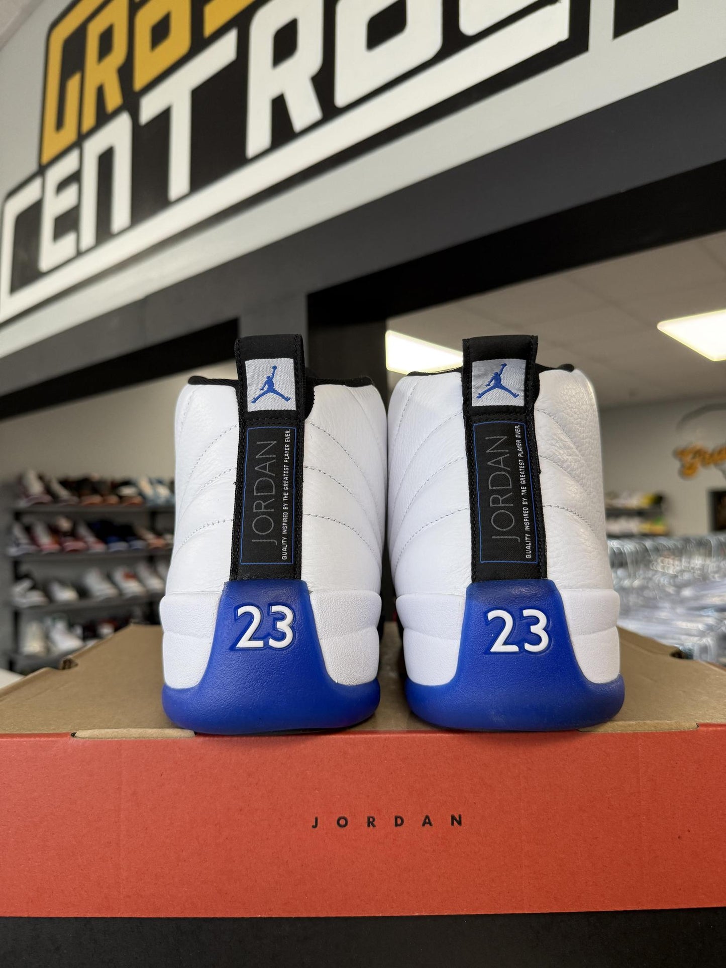Jordan 12 "Blueberry" Used Size 14