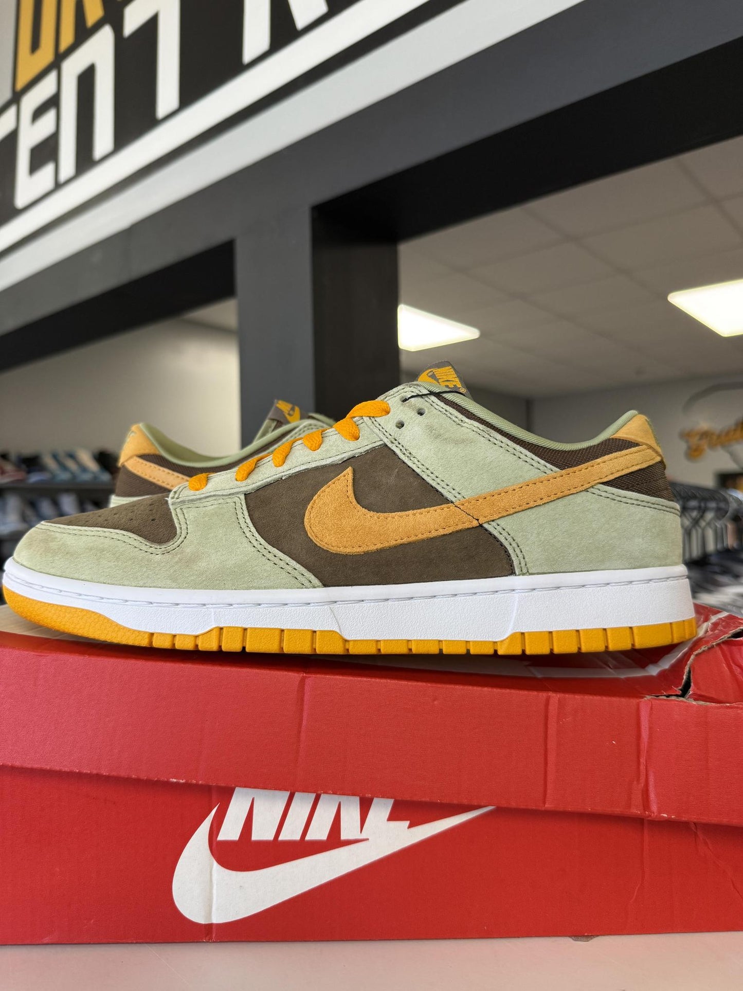 Dunk Low "Dusty Olive" Used Size 10