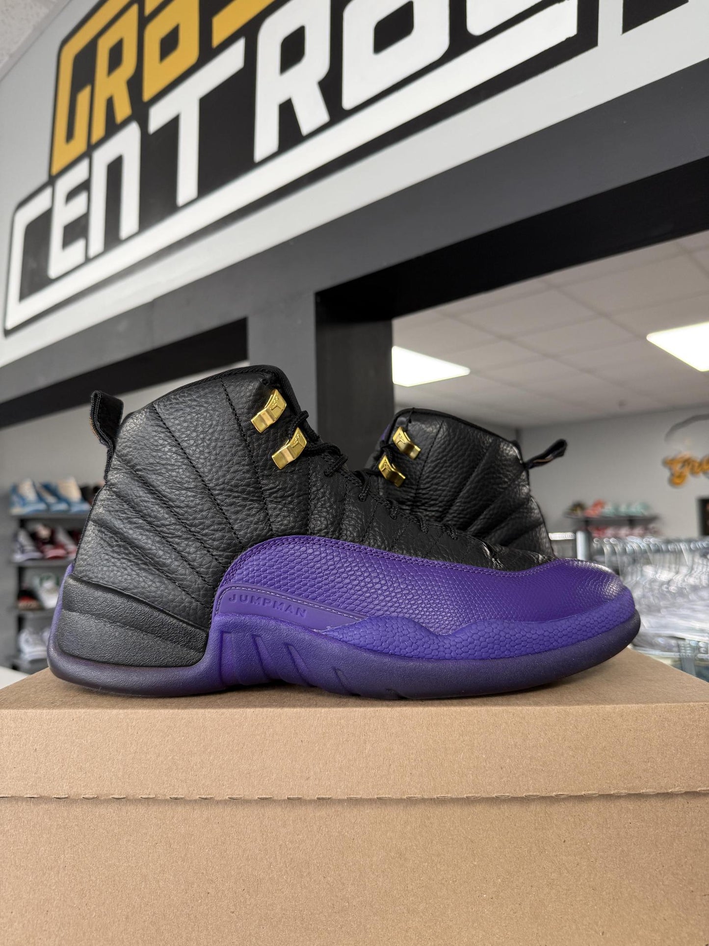 Jordan 12 "Field Purple" Used Size 11