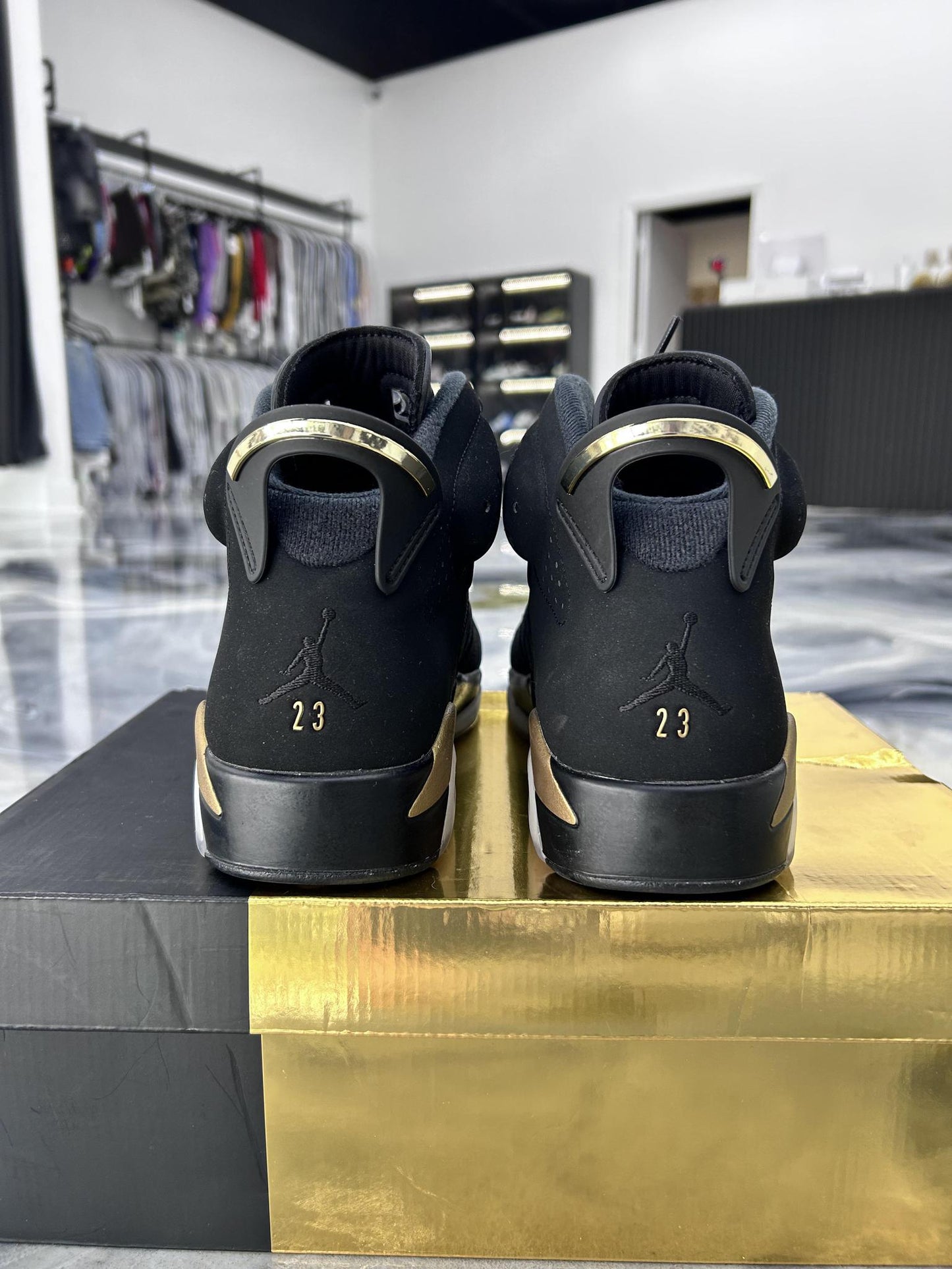 Jordan 6 "DMP" Used Size 10