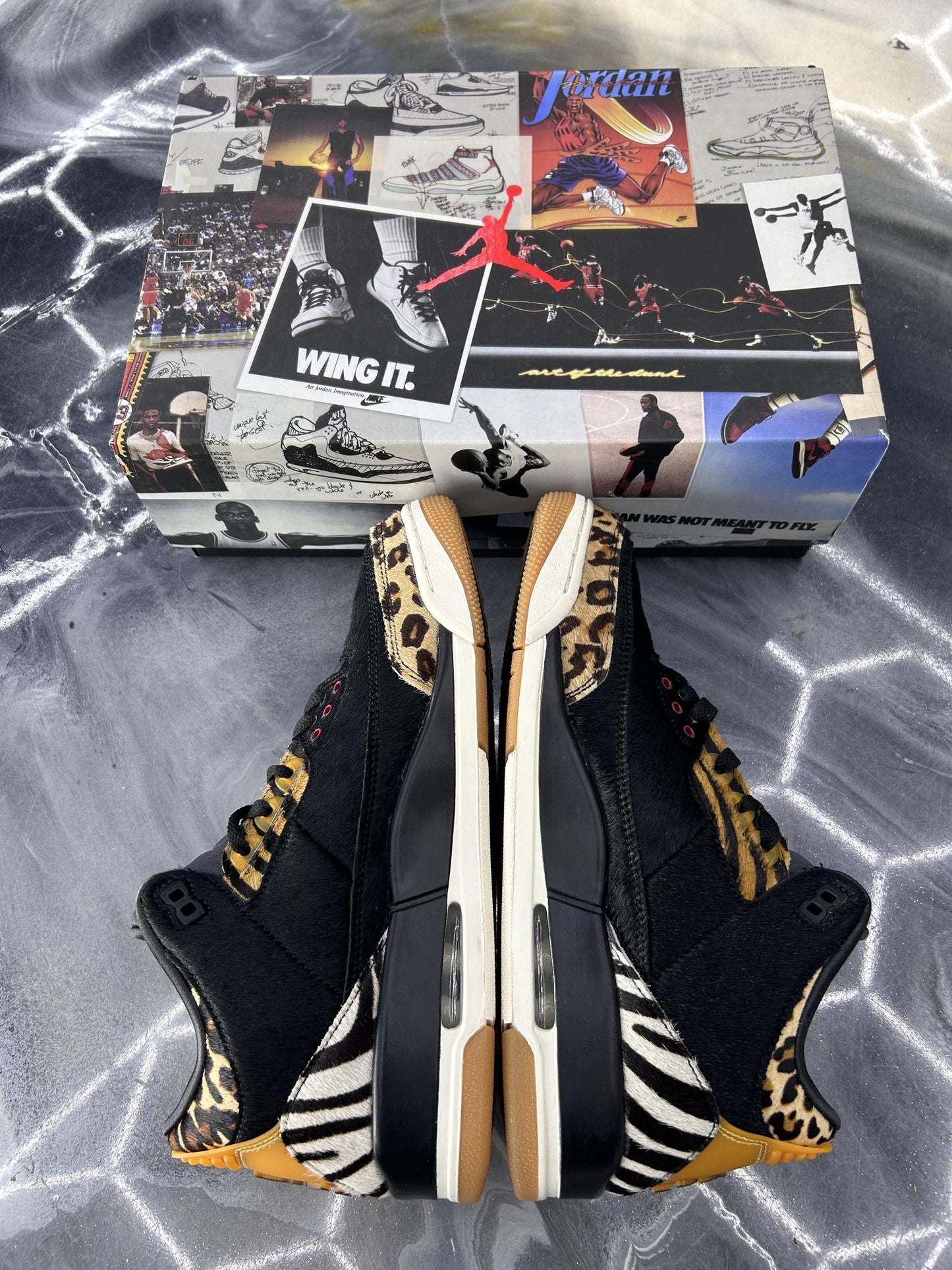 Jordan 3 "Animal Ambition" Used Size 10