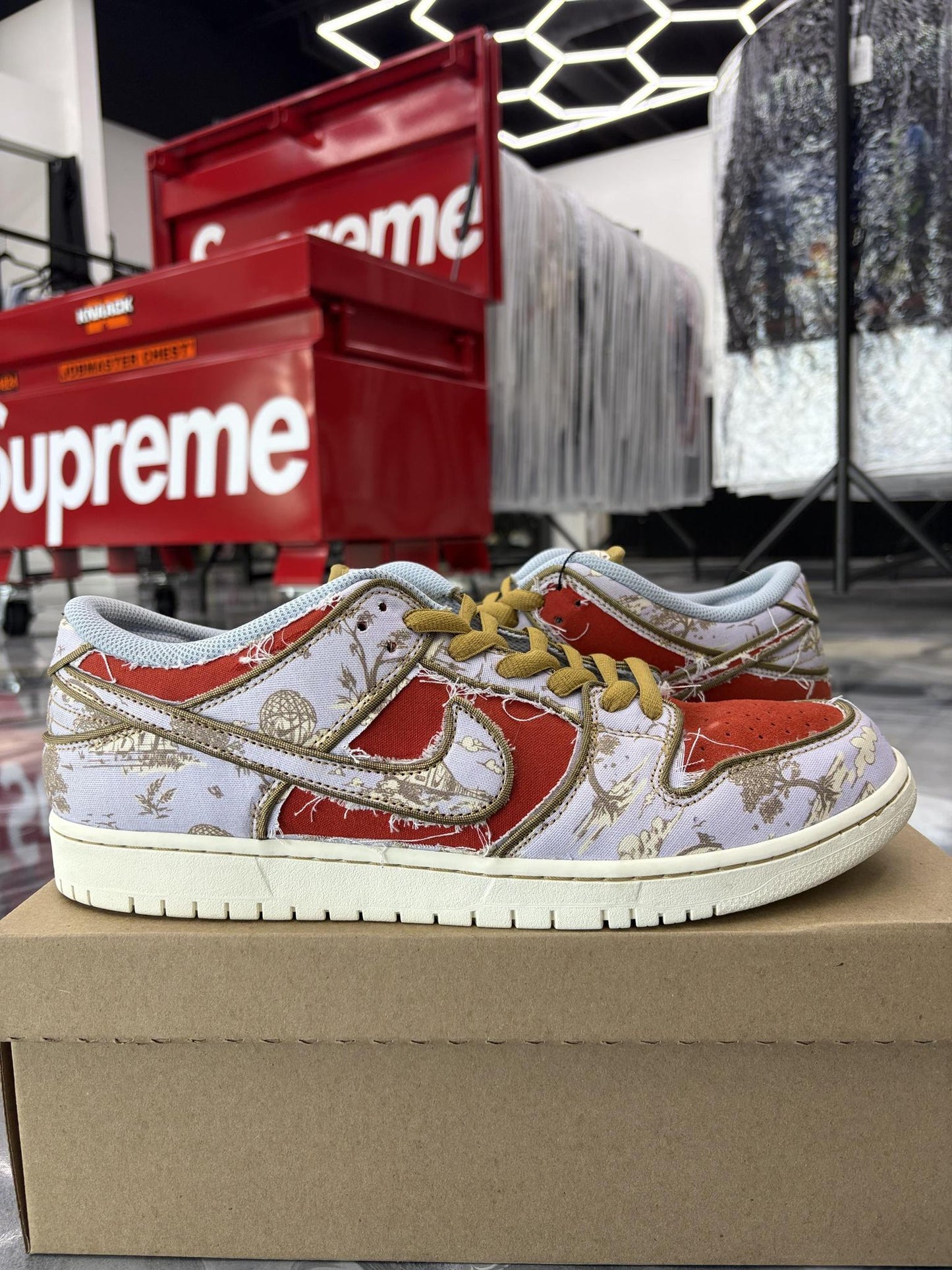 Nike SB "City Of Style" Used Size 13