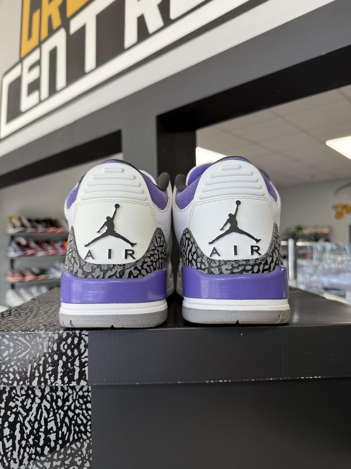 Jordan 3 "Dark Iris" Used Size 12