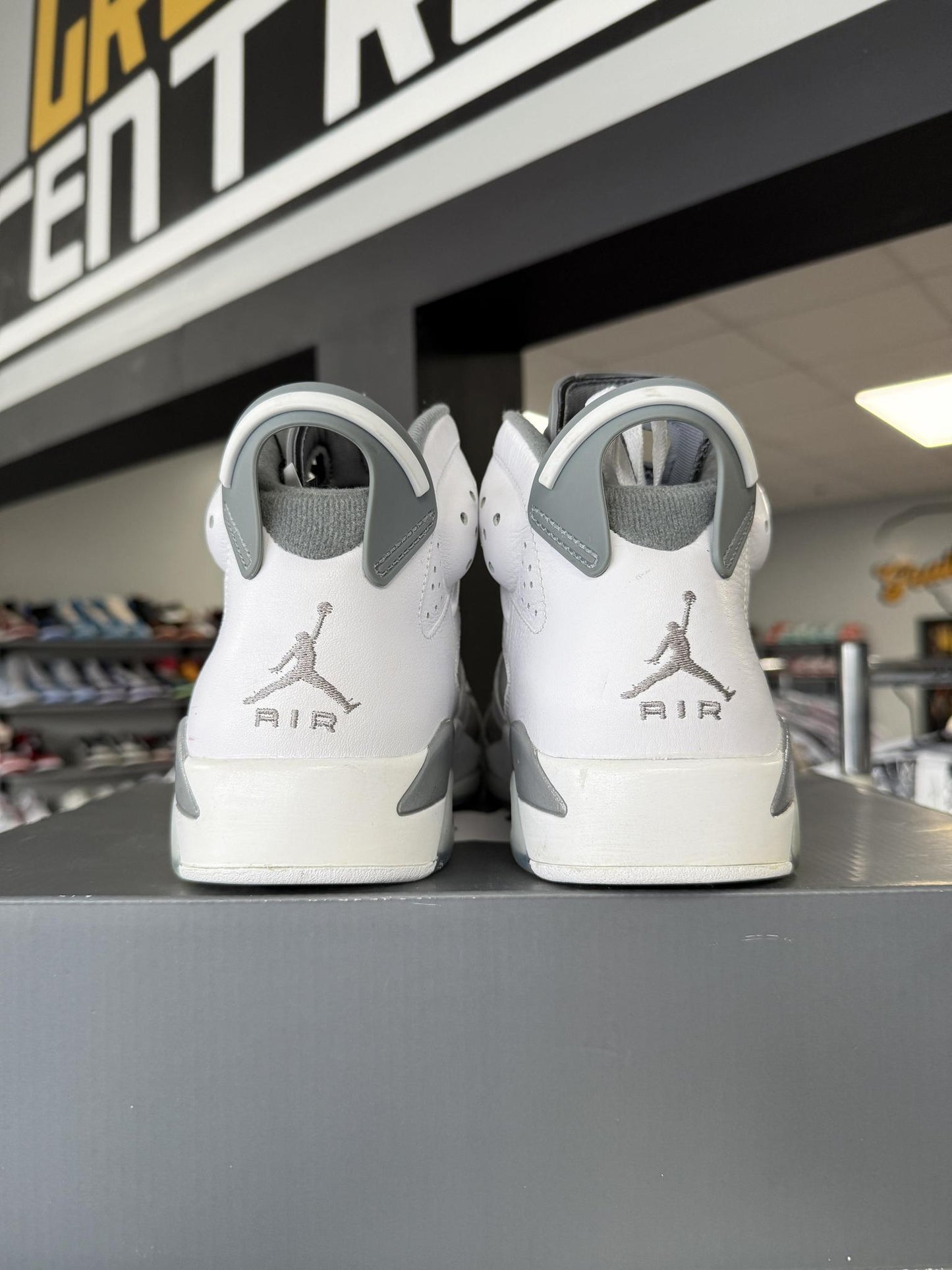 Jordan 6 "Cool Grey" Used Size 8