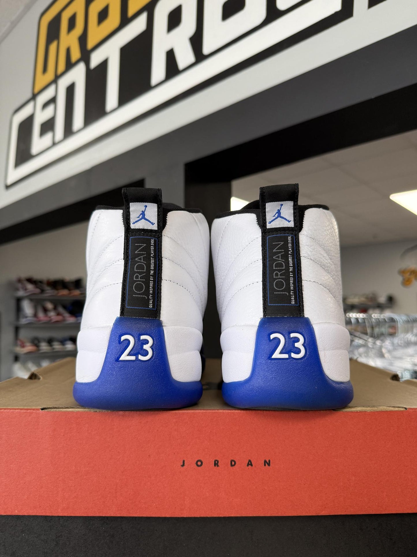 Jordan 12 "Blueberry" Used Size 11