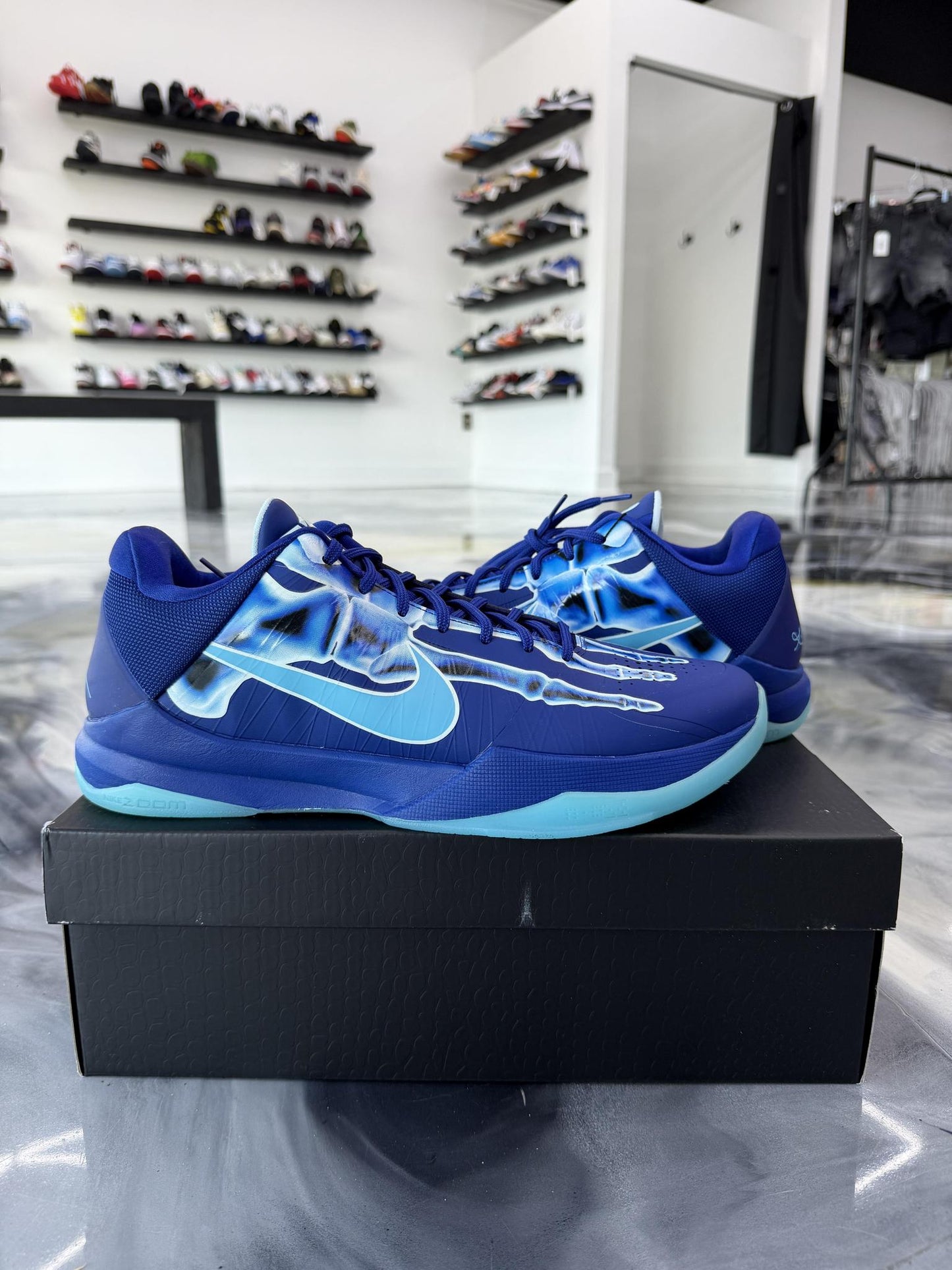 Kobe 5 Protro "X-Ray" Used Size 12