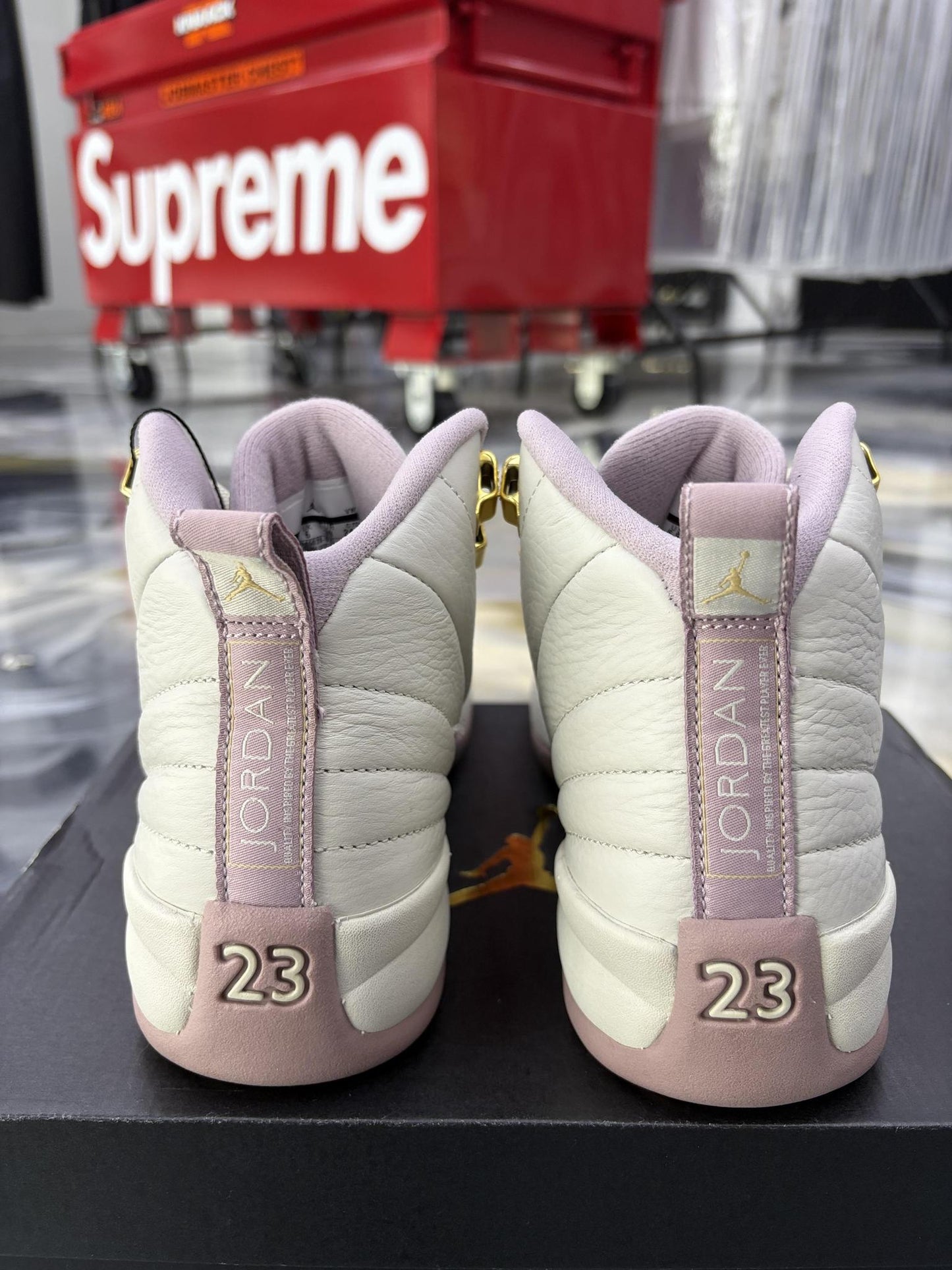 Jordan 12 "Heiress Plum Fog" Used Size 6.5Y/8W