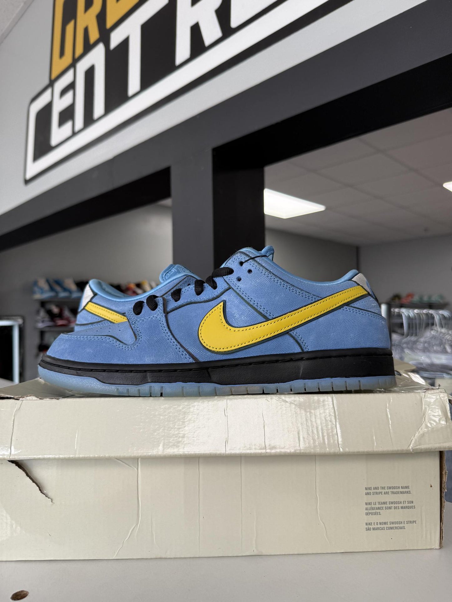 Nike Dunk Low SB Powerpuff "Bubbles" Used Size 9.5