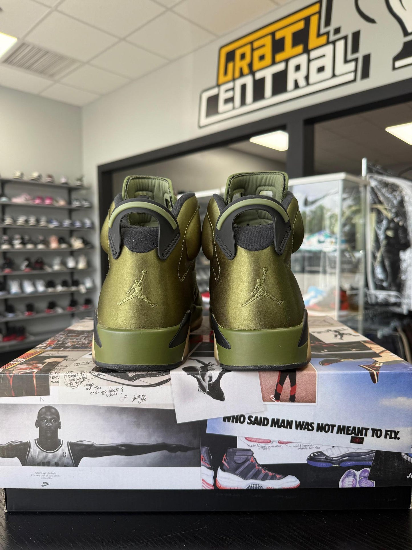 Jordan 6 "Pinnacle" Used Size 12