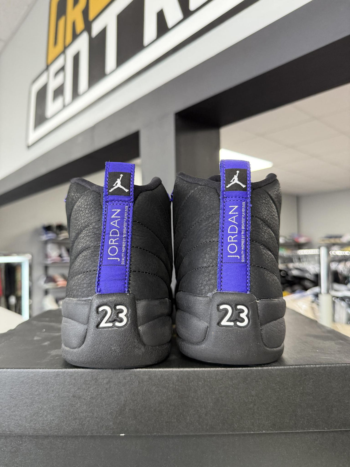 Jordan 12 "Dark Concord" Used Size 7Y/8.5W