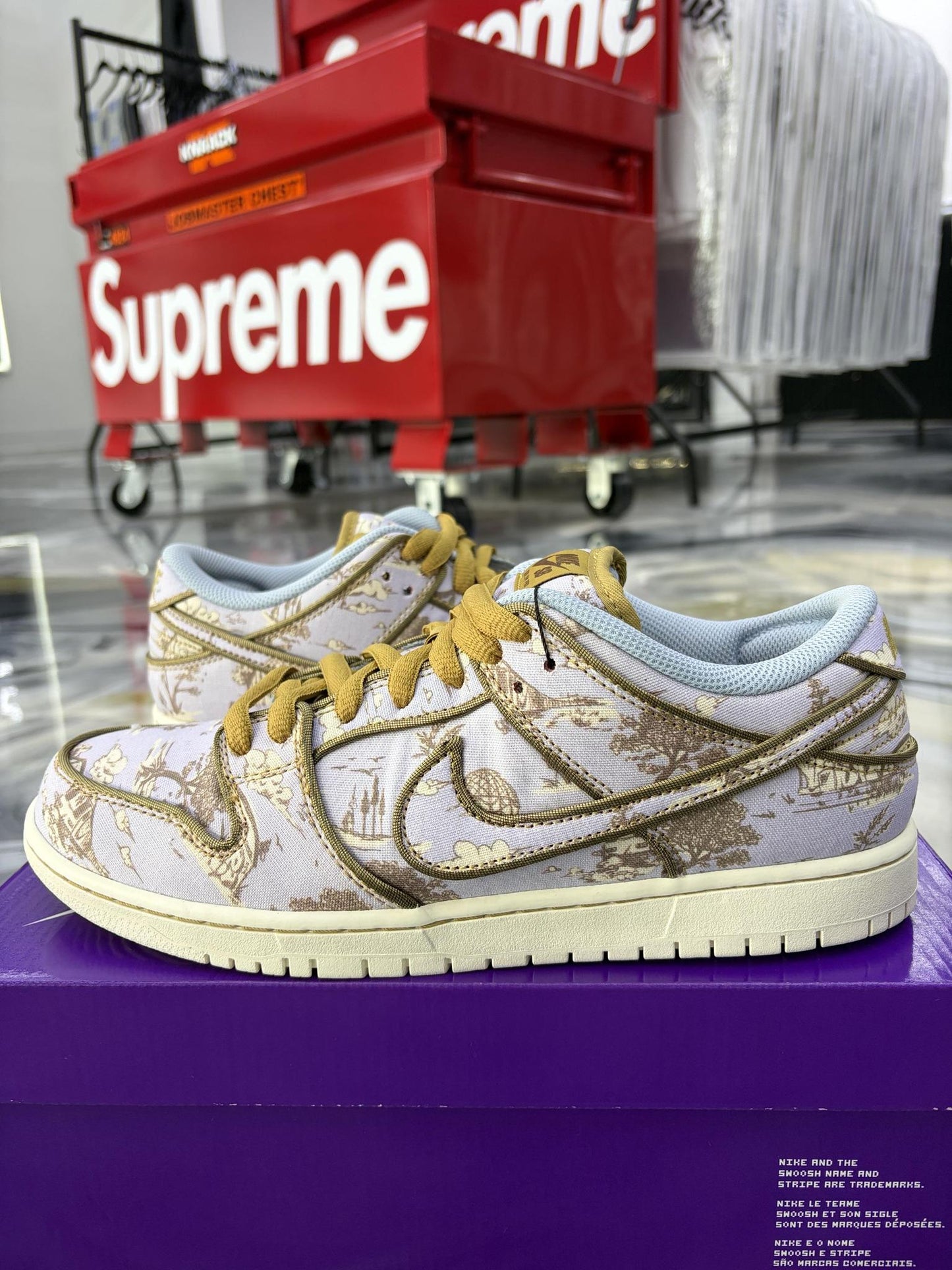 Nike SB Dunk Low Premium "City of Style" Used Size 10.5