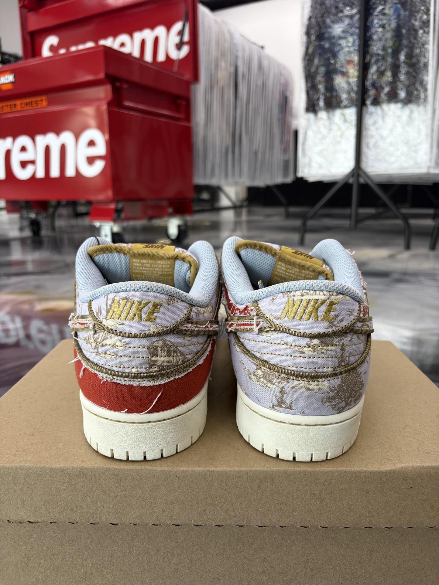 Nike SB "City Of Style" Used Size 13