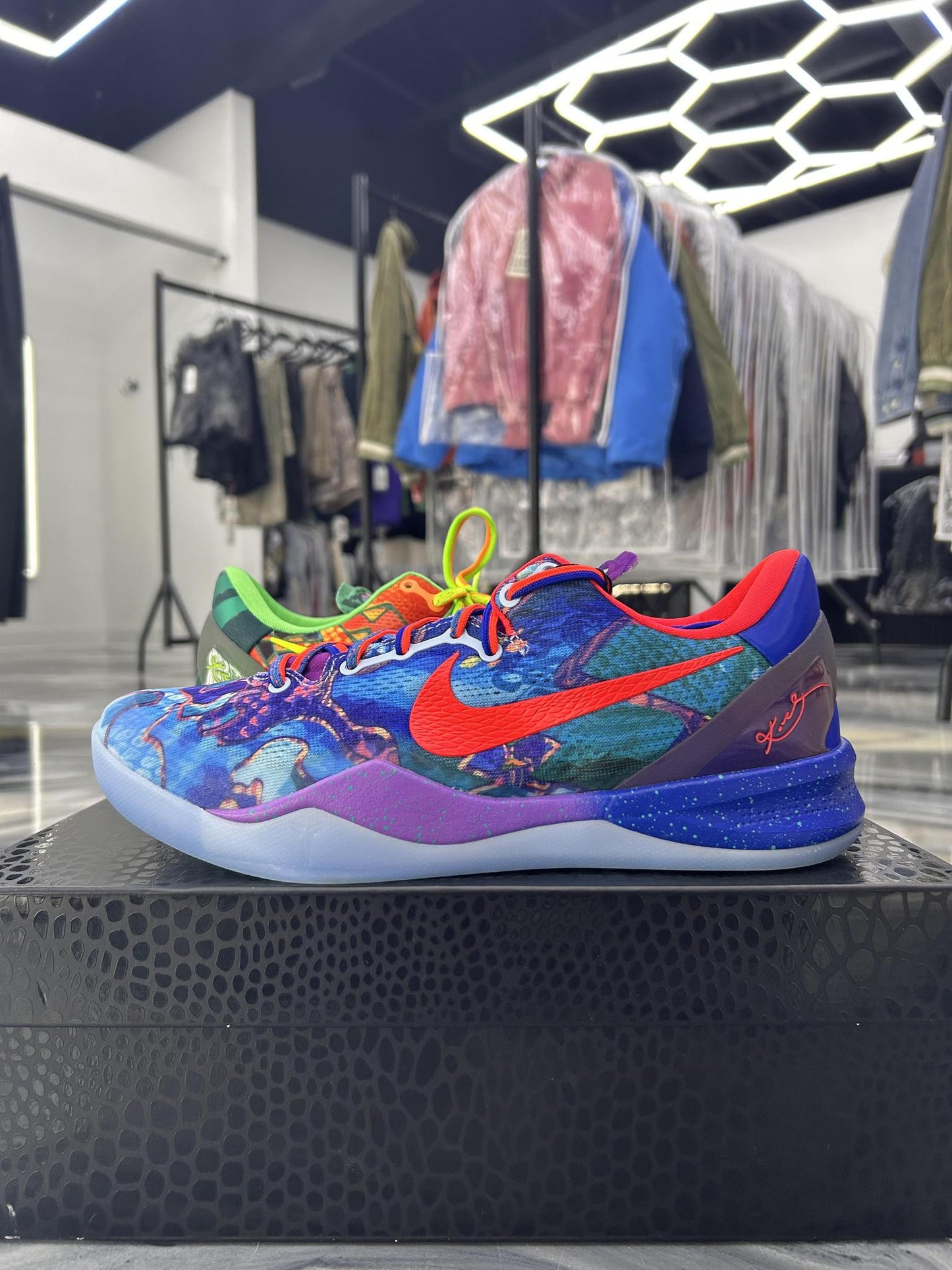 Kobe 8 "What The" Used Size 9.5