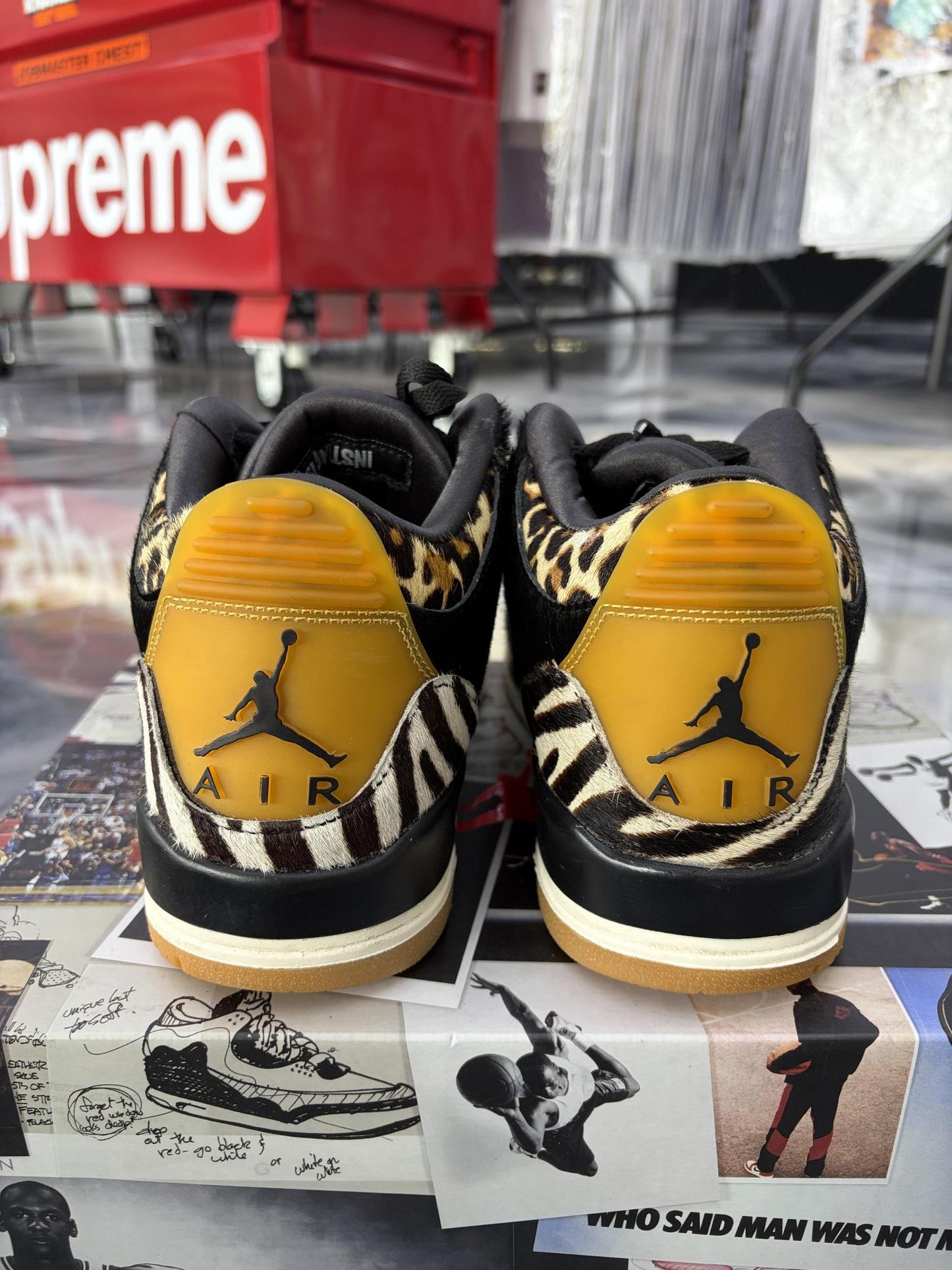 Jordan 3 "Animal Instinct" Used Size 9