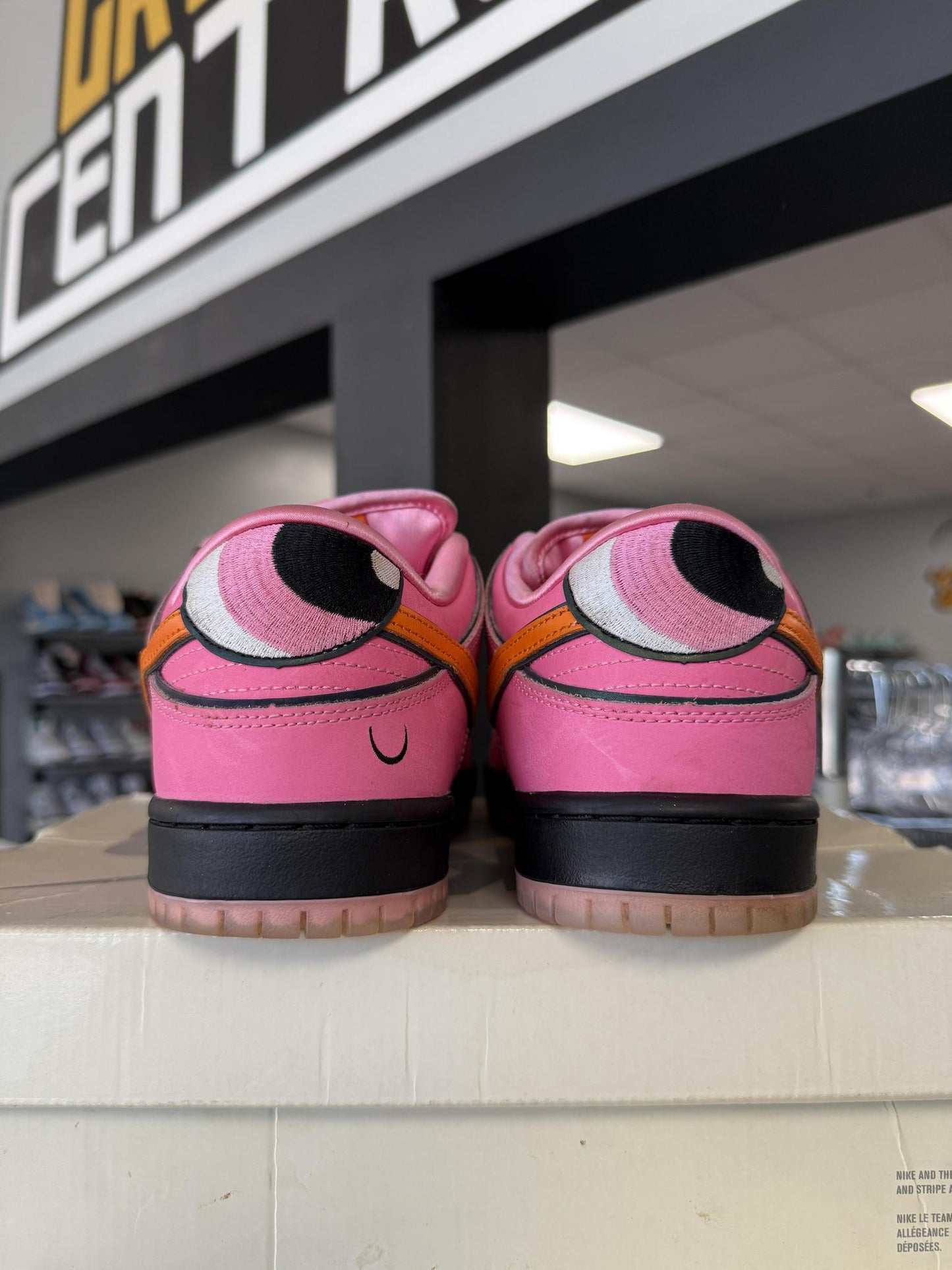 Dunk Low SB x Powerpuff Girls "Blossom" Used Size 10