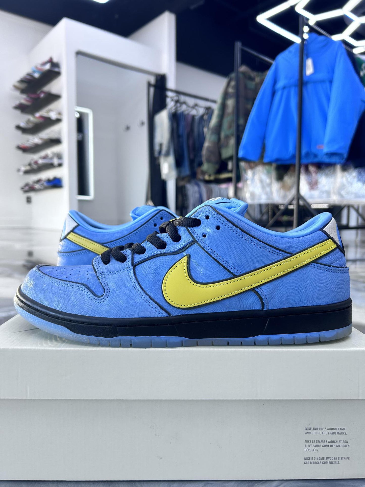 Nike SB Dunk Low "PowerPuff Bubbles" Used Size 12