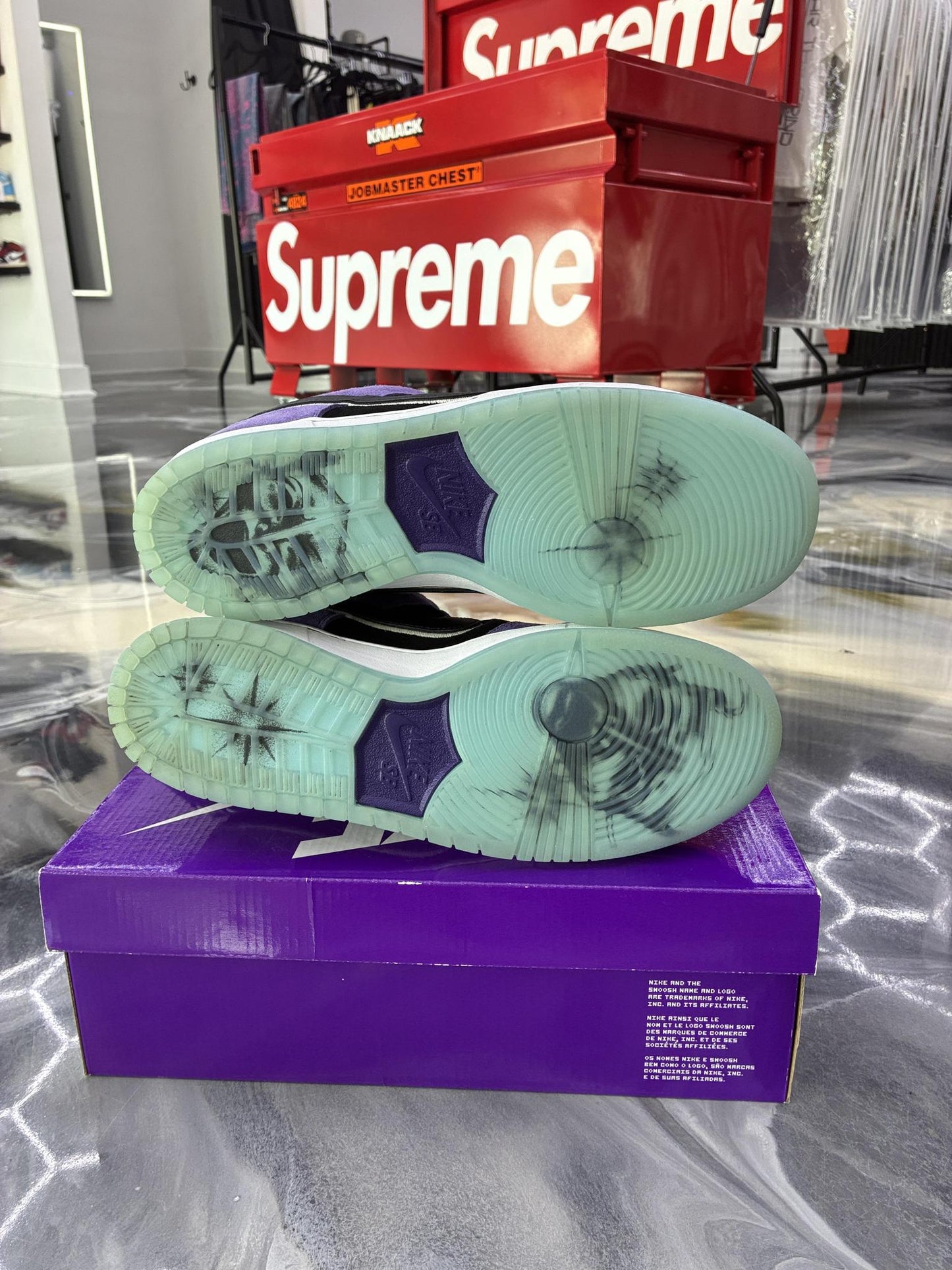 Nike SB Dunk Low "Hayley Wilson" Used Size 12