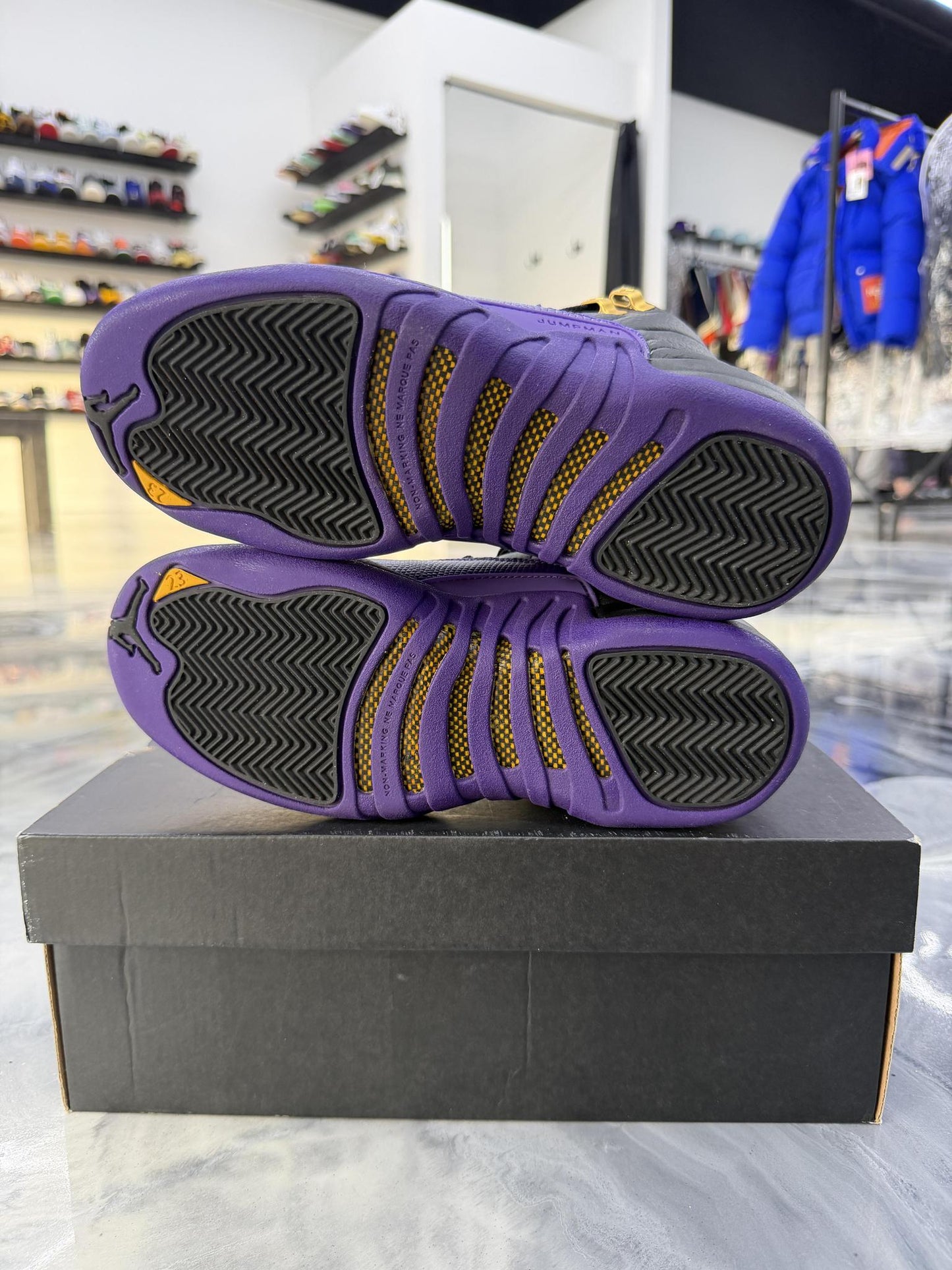 Jordan 12 Field Purple Used Size 5Y/6.5