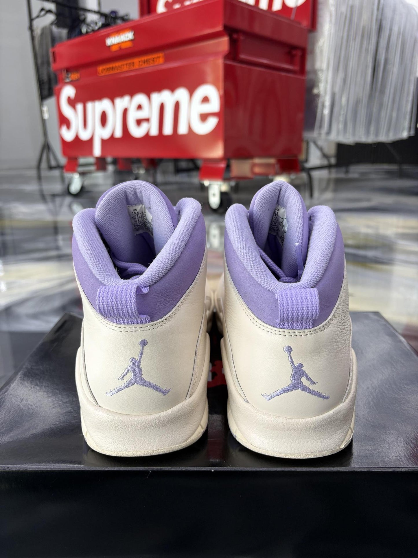 Jordan 10 "Hydrangeas" Used Size 9