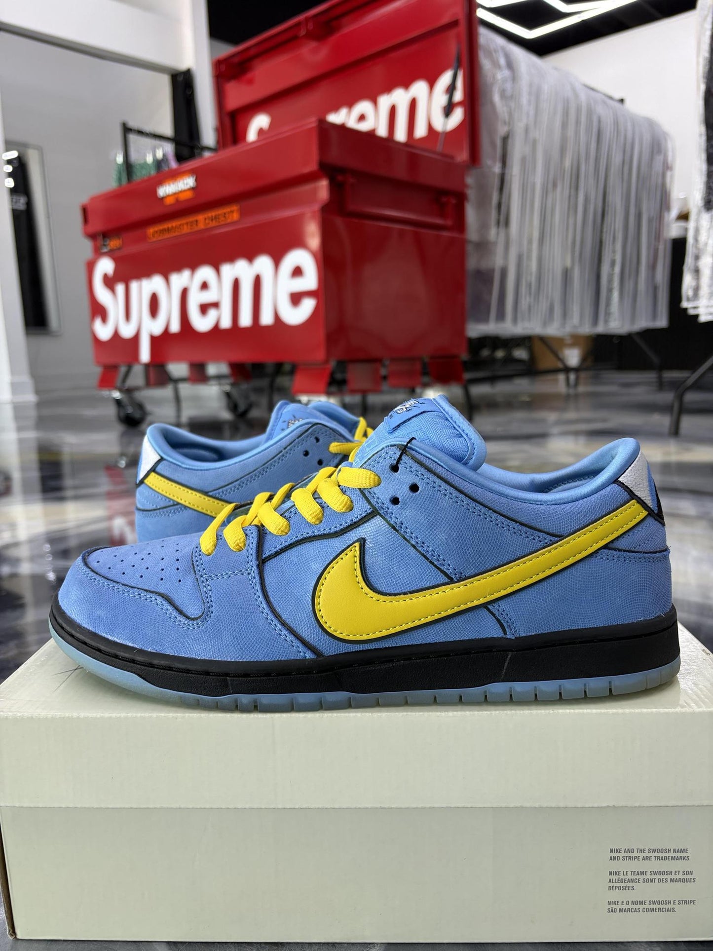 Nike SB Dunk Low "The Powerpuff Girls Bubbles" Used Size 10.5