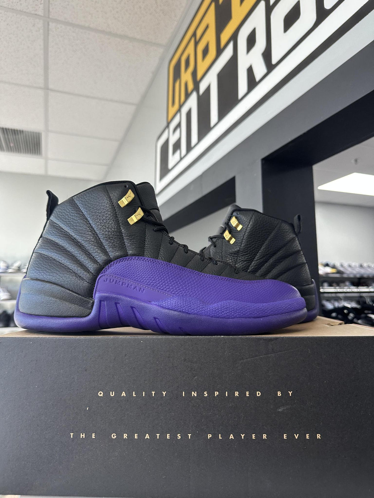Jordan 12 "Field Purple" Used Size 14