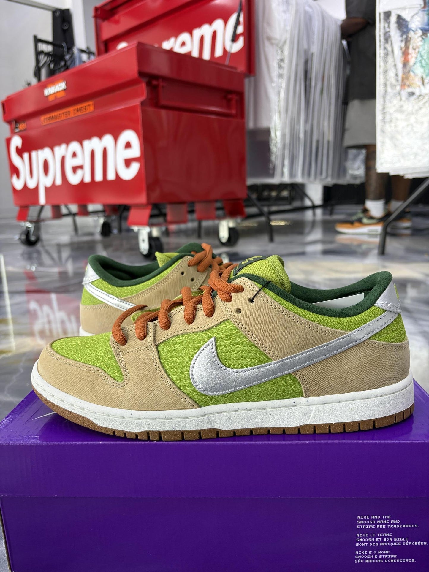 Nike SB Dunk Low "Escargot" Used Size 10.5