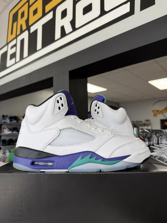Jordan 5 "Grape" Used Size 9.5