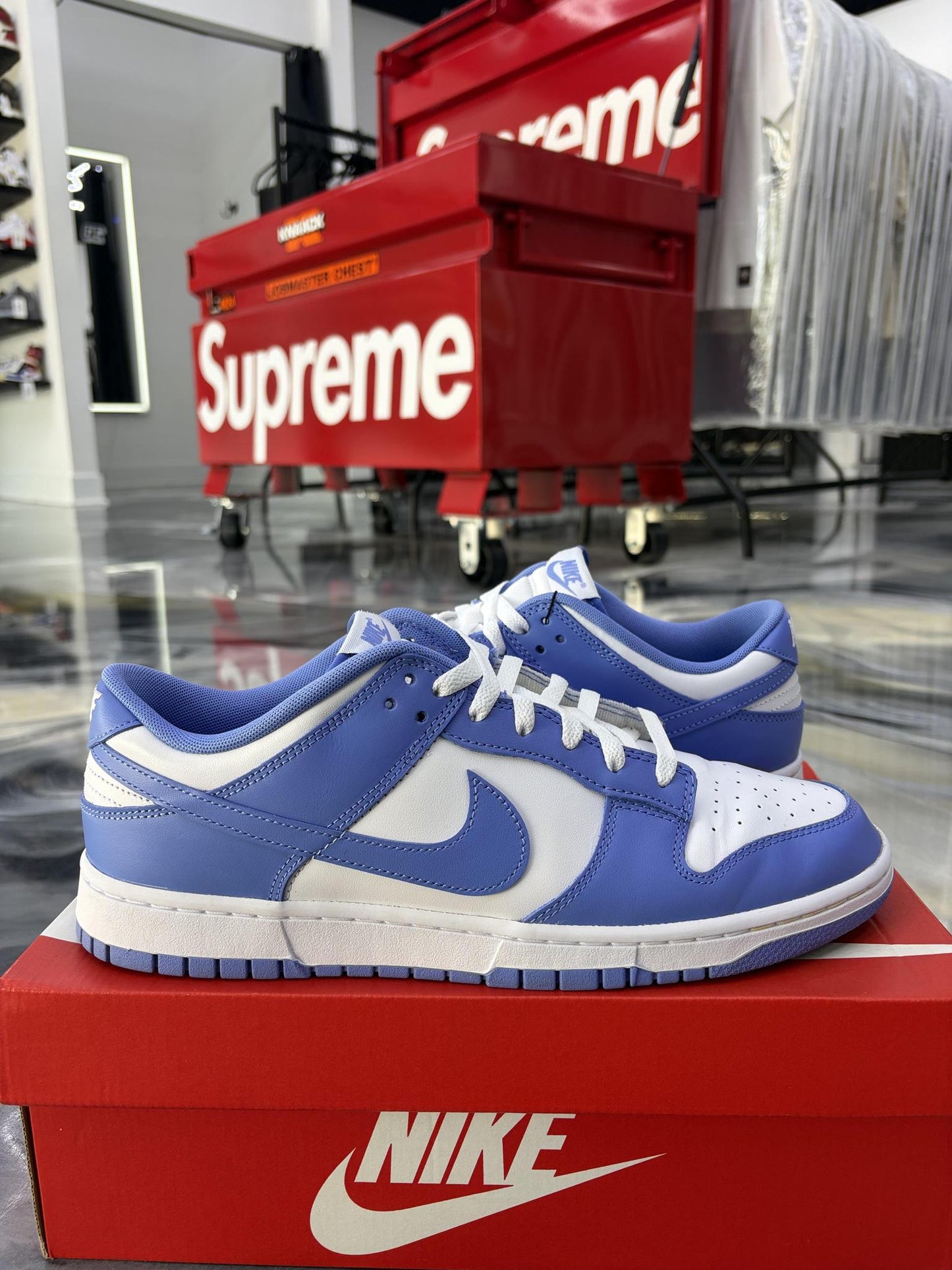 Nike Dunk Low "Polar Blue" Used Size 12
