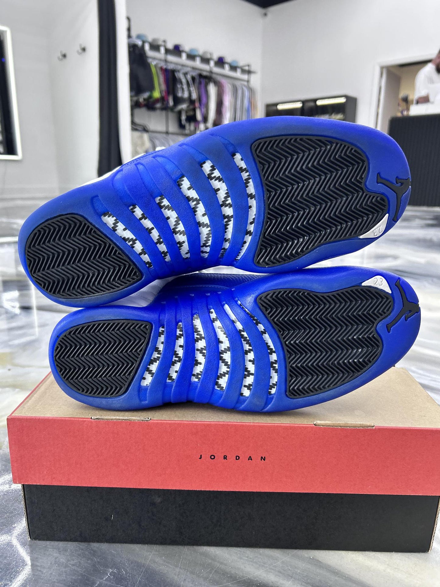 Jordan 12 "Blueberry" Used Size 12