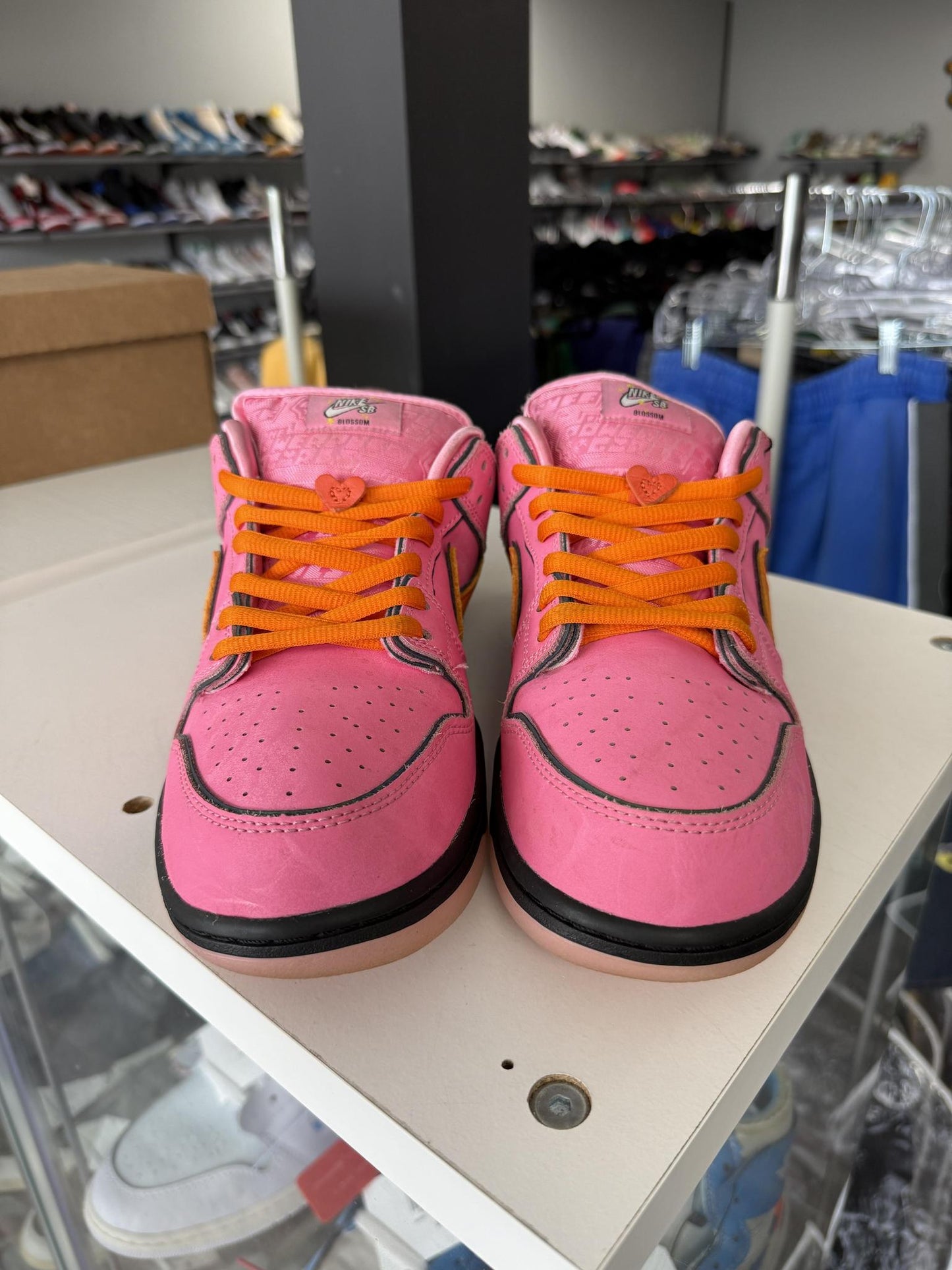 Nike Dunk Low SB x Powerpuff Girls "Blossom" Used Size 10