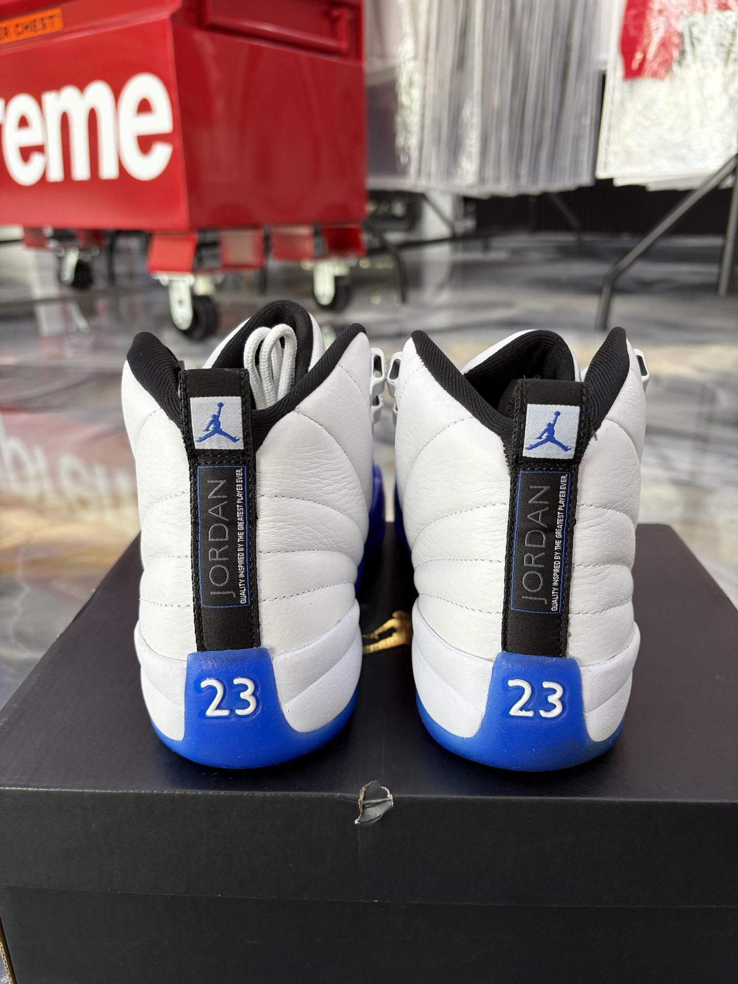 Jordan 12 "Blueberry" Used Size 7Y/8.5W