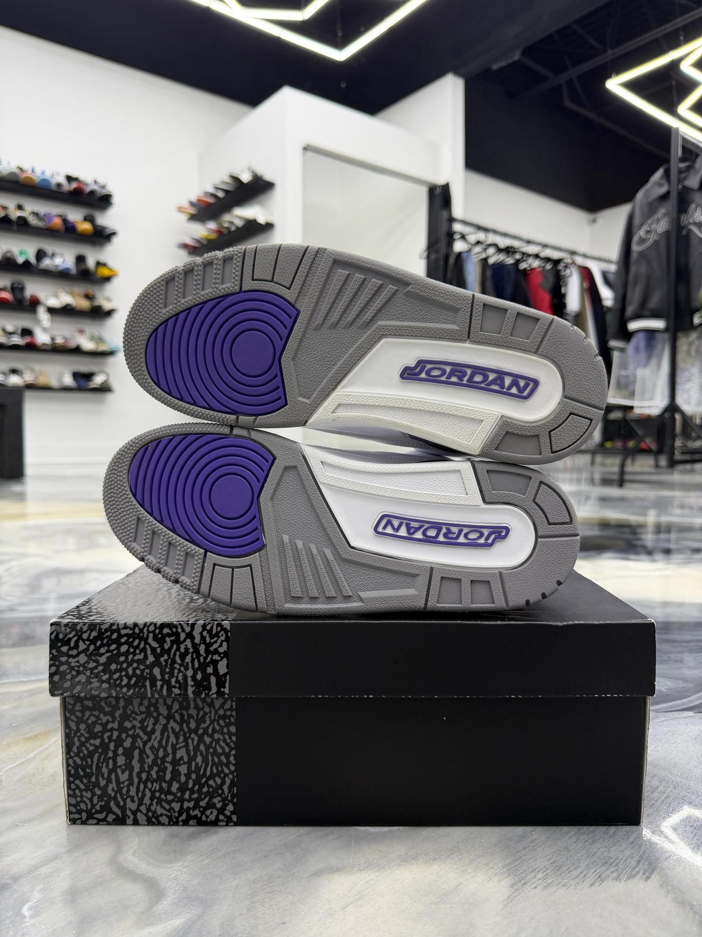 Jordan 3 "Dark Iris" Used Size 9.5
