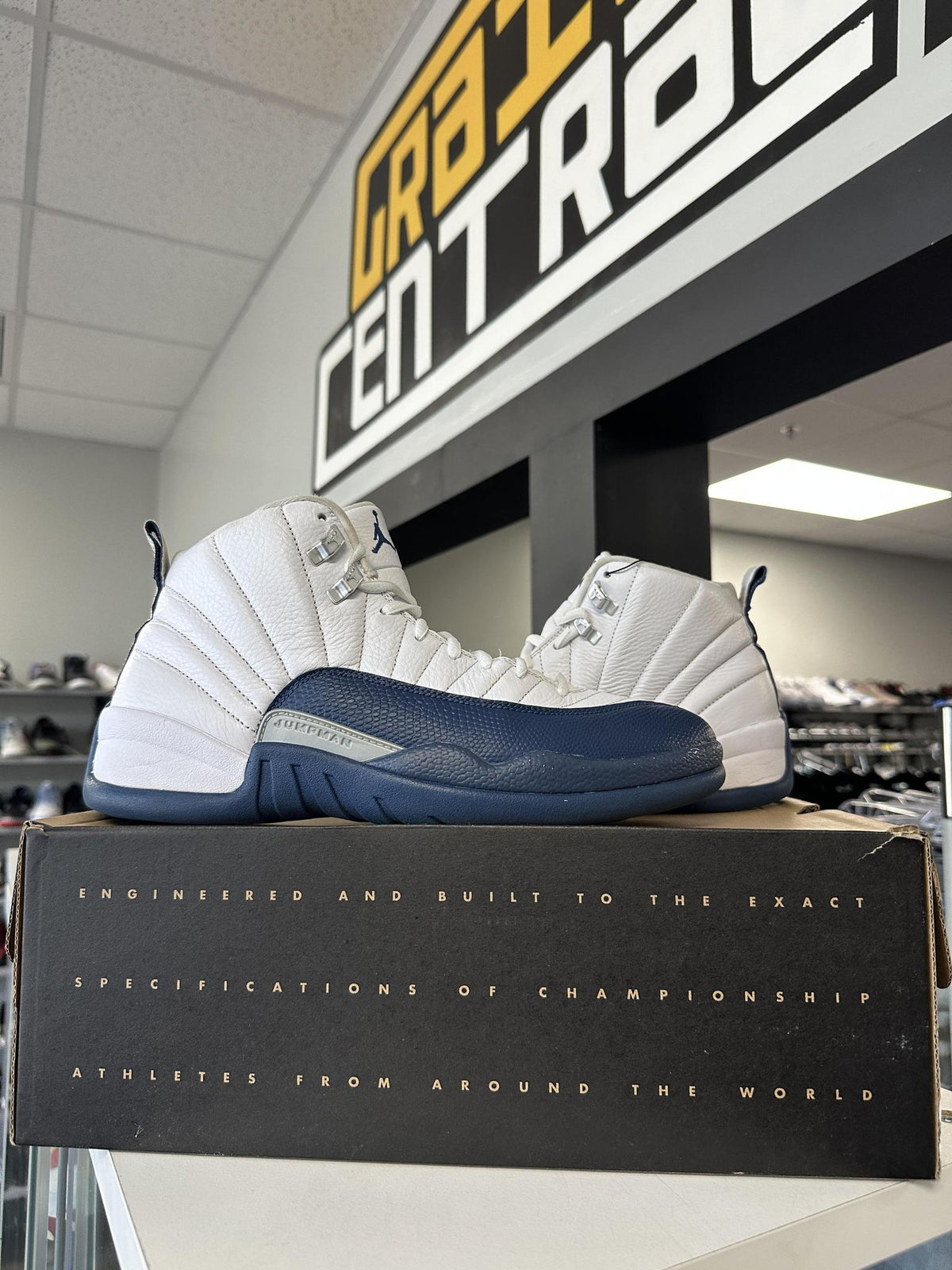 Jordan 12 French Blue Used