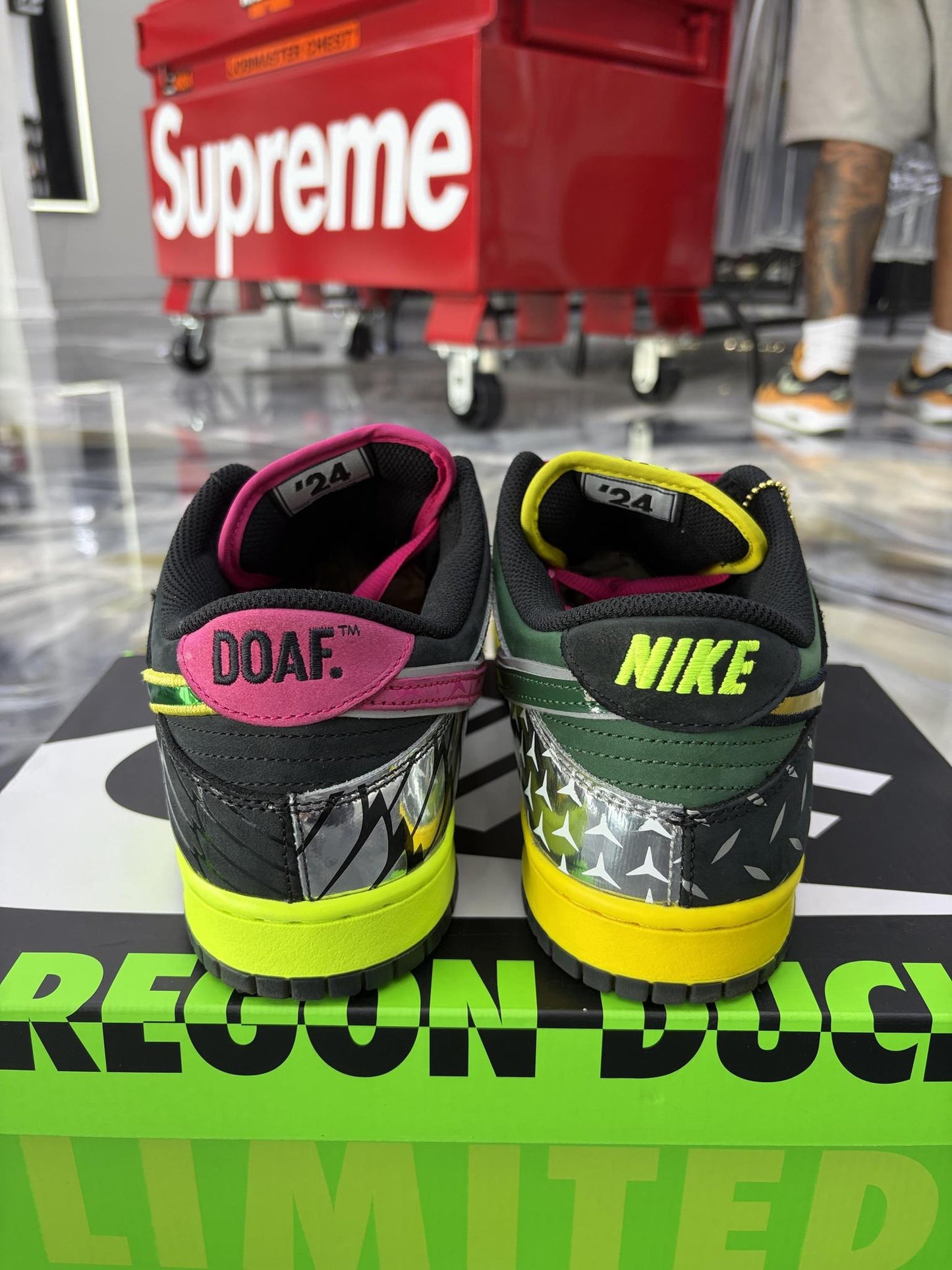 Nike Dunk Low "What The Duck" Used Size 10.5