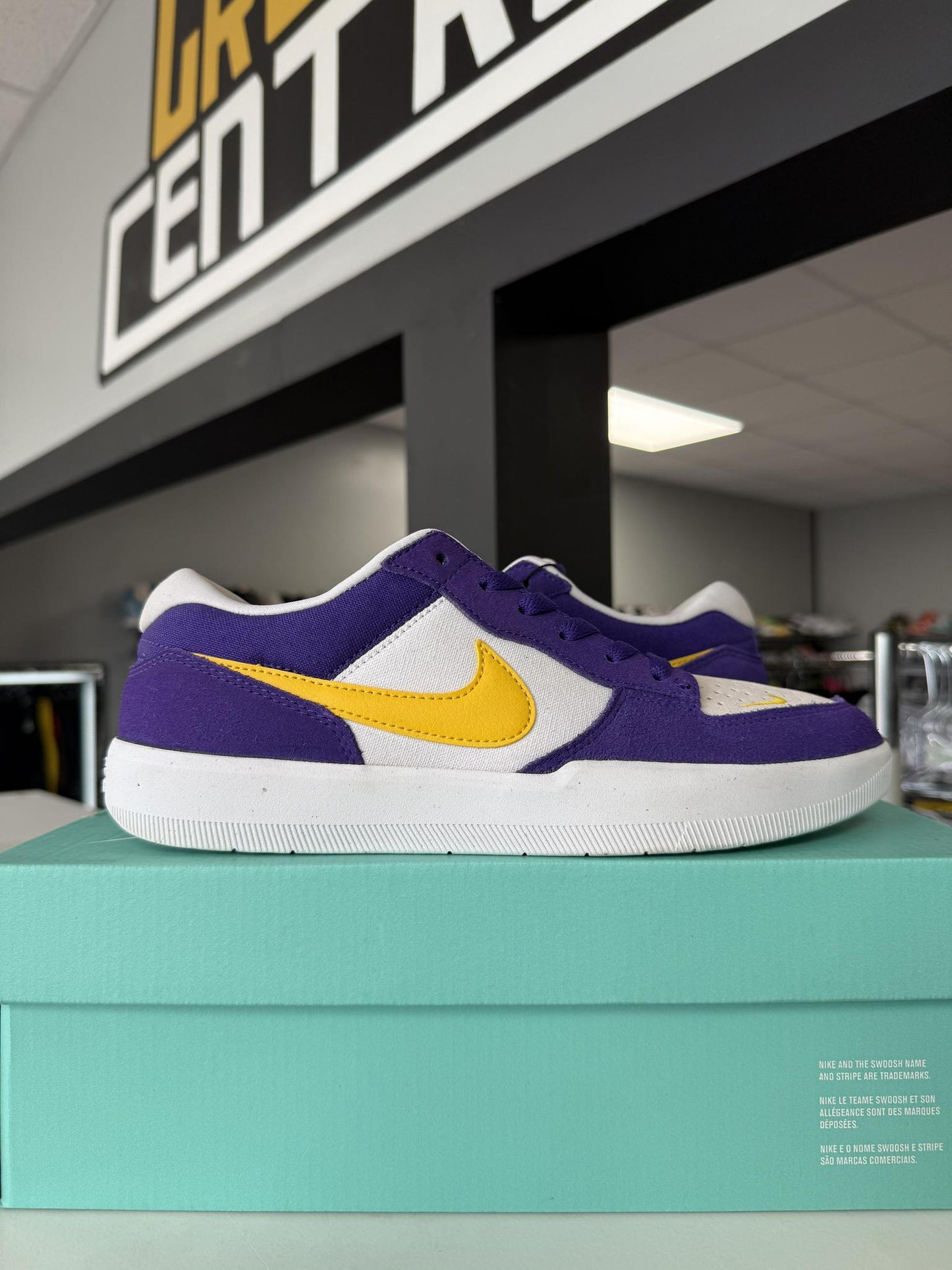 Nike SB Force 58 "Court Purple" Used Size 9