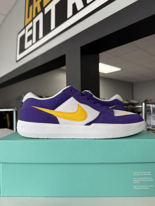Nike SB Force 58 "Court Purple" Used Size 9
