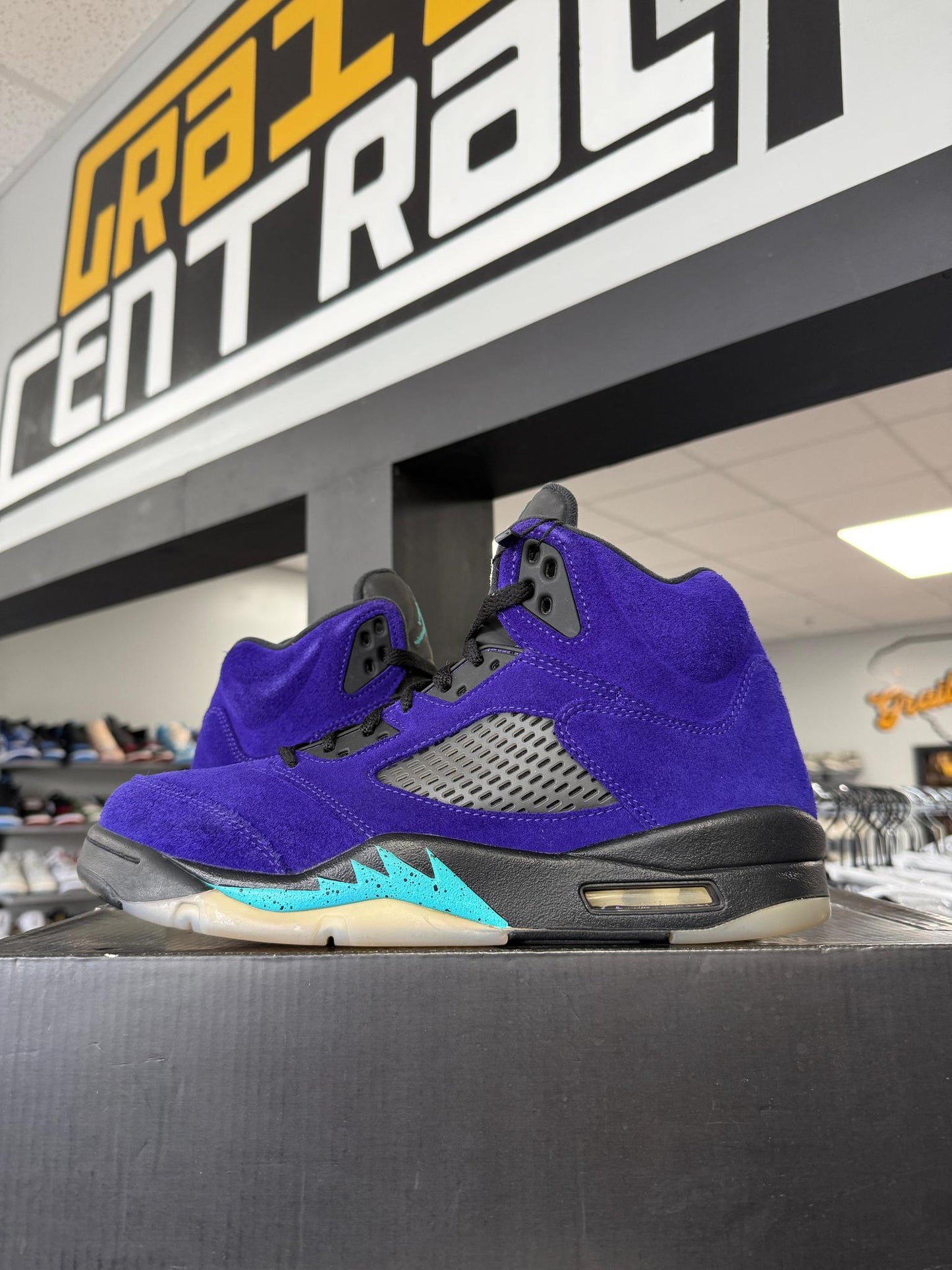 Jordan 5 "Alternate Grape" Used Size 10.5