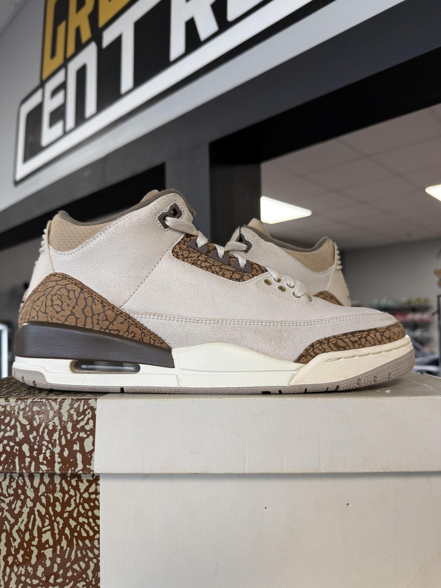 Jordan 3 "Palomino" Used Size 10