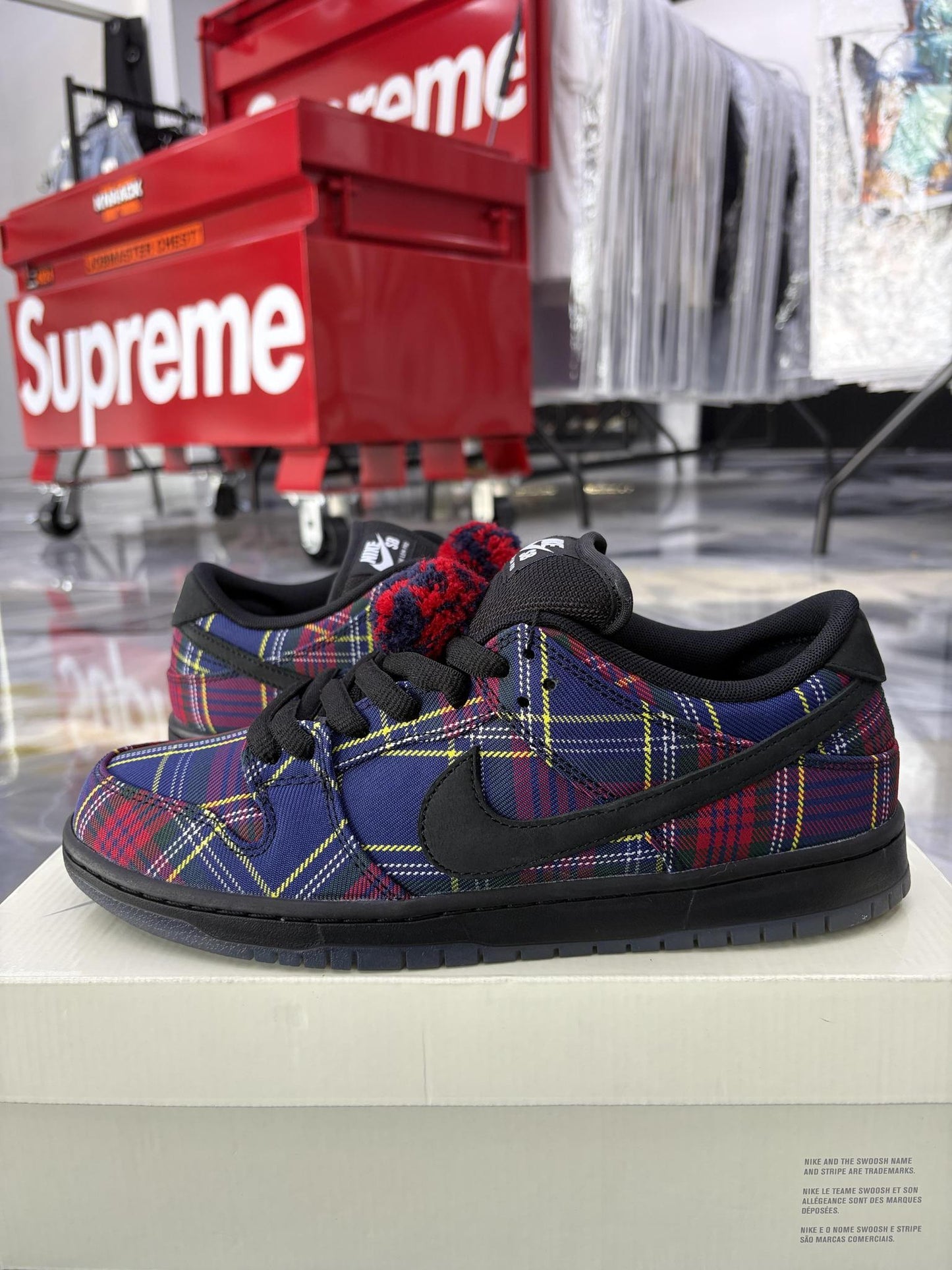 Nike SB Dunk Low "Nardwuar" Used Size 10